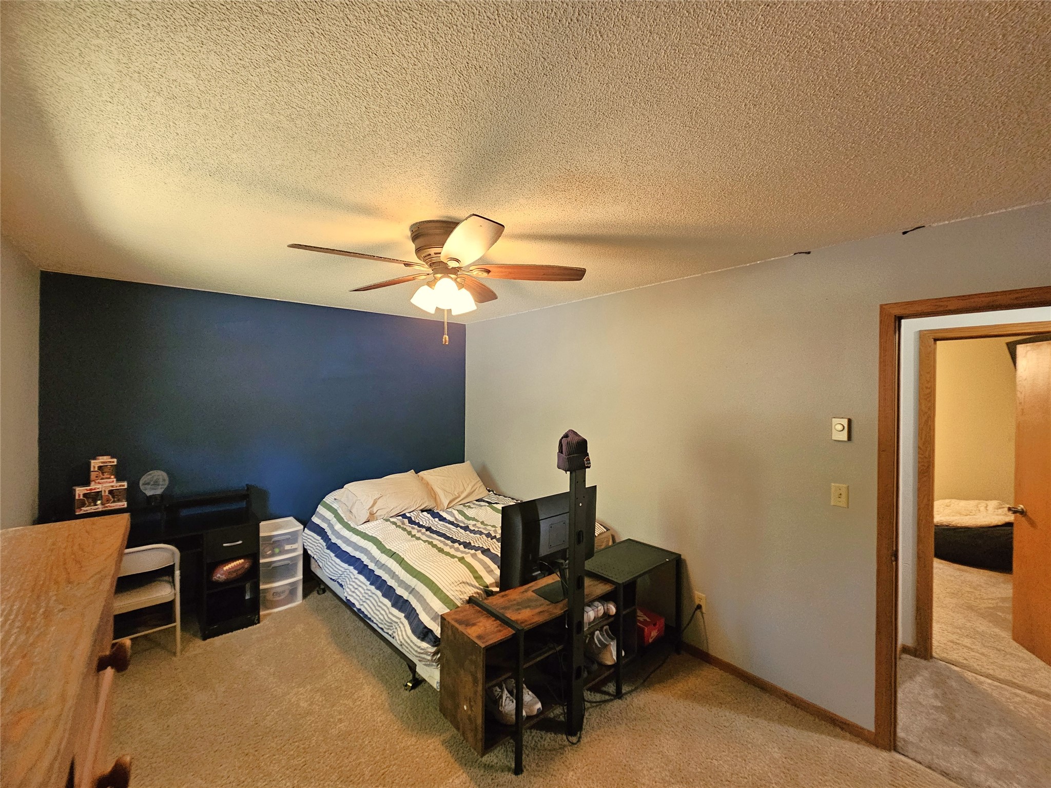 1105 Boehmer Drive Property Photo 21