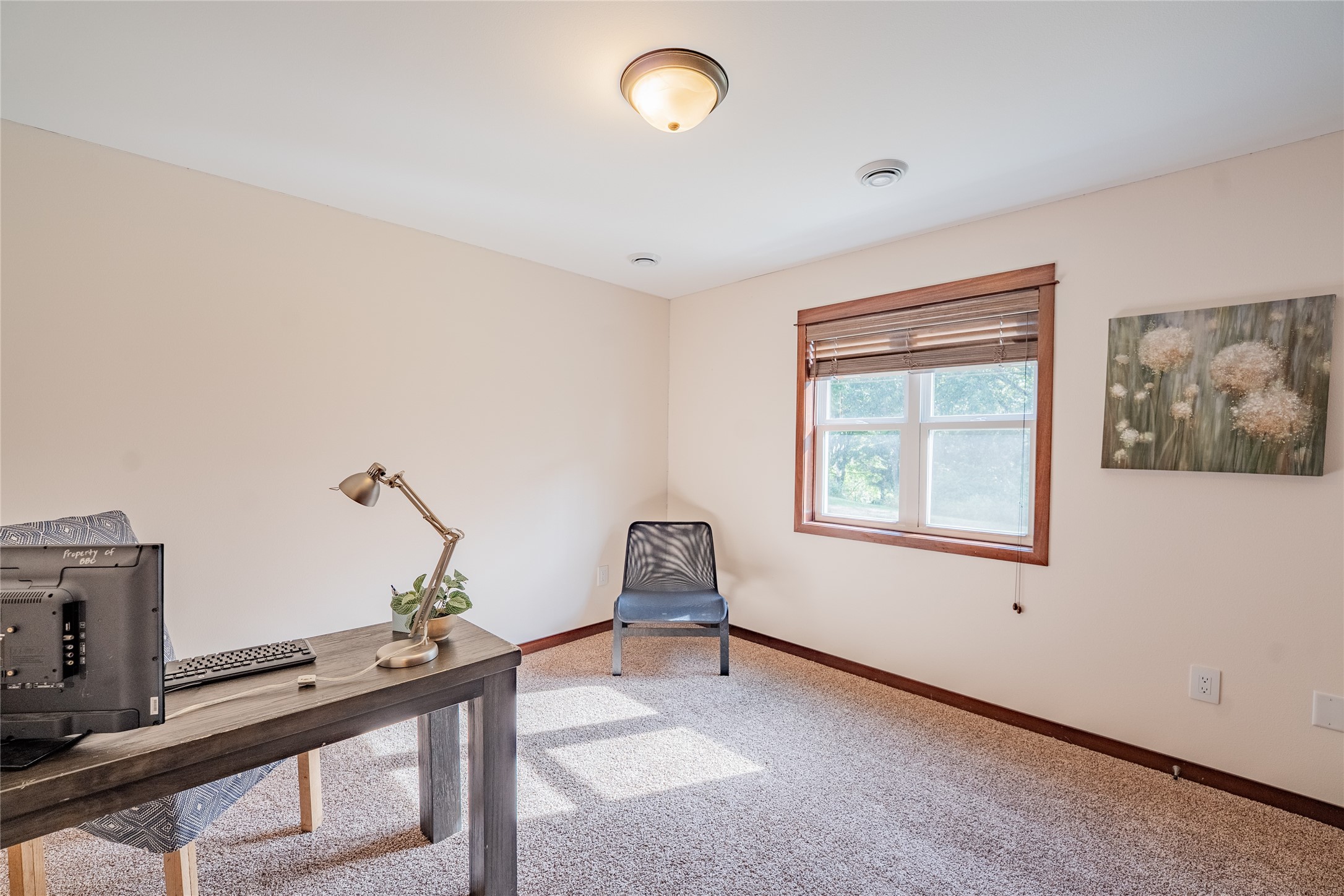217 Monte Carlo Drive Property Photo 33