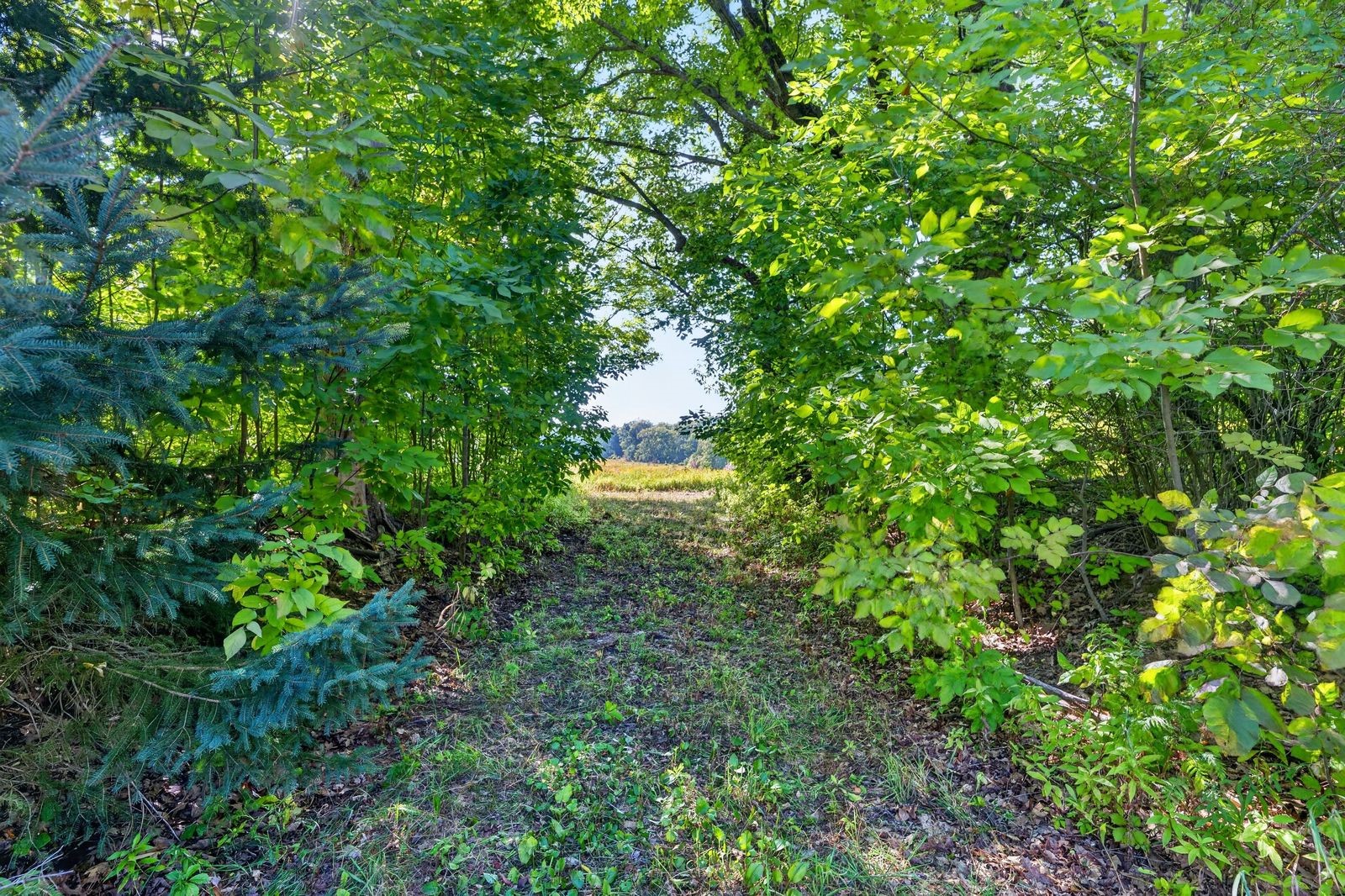 Block 5 Comet Road Property Photo 13