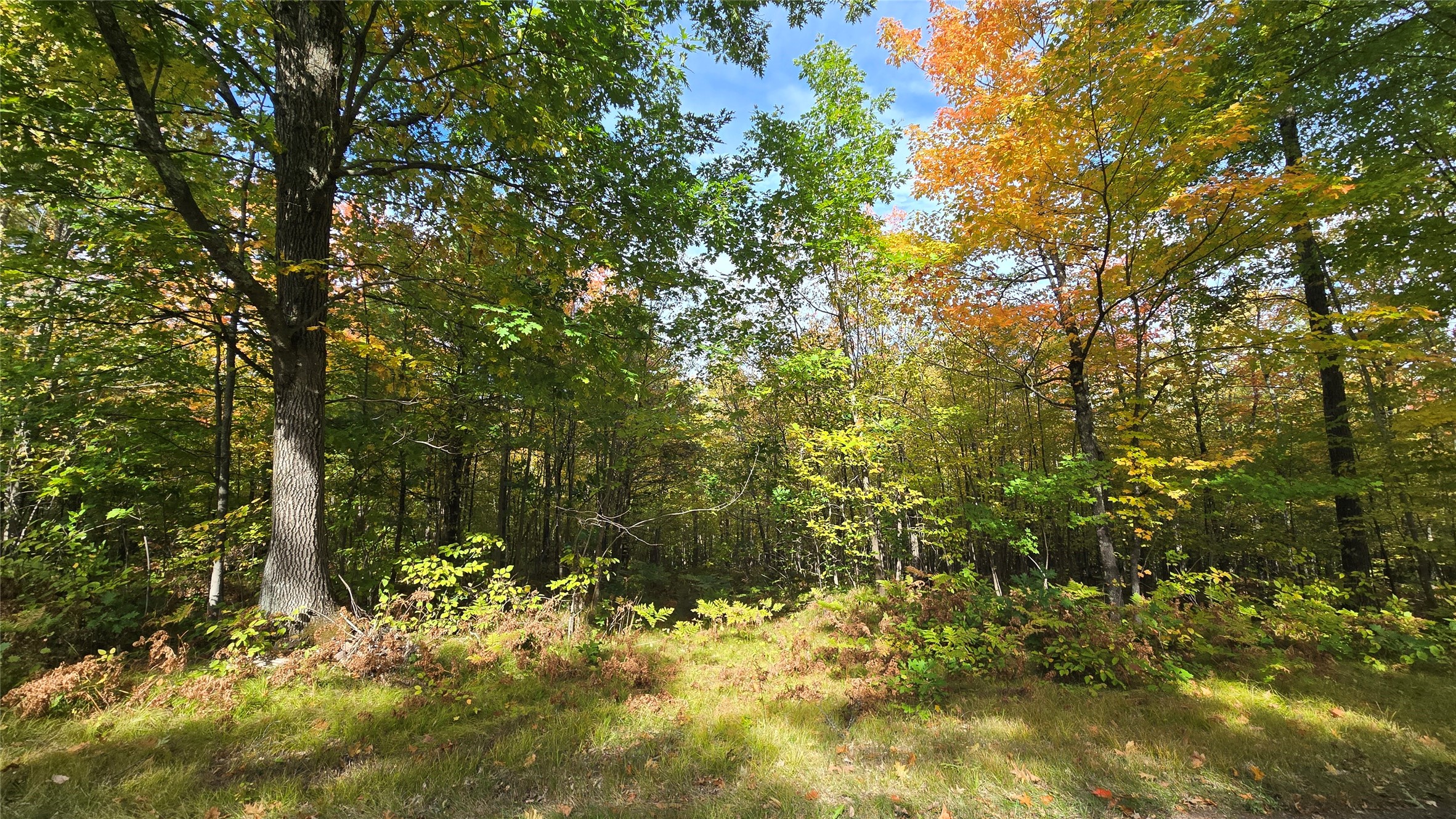 Lot 30 Woodcrest Drive Property Photo 1