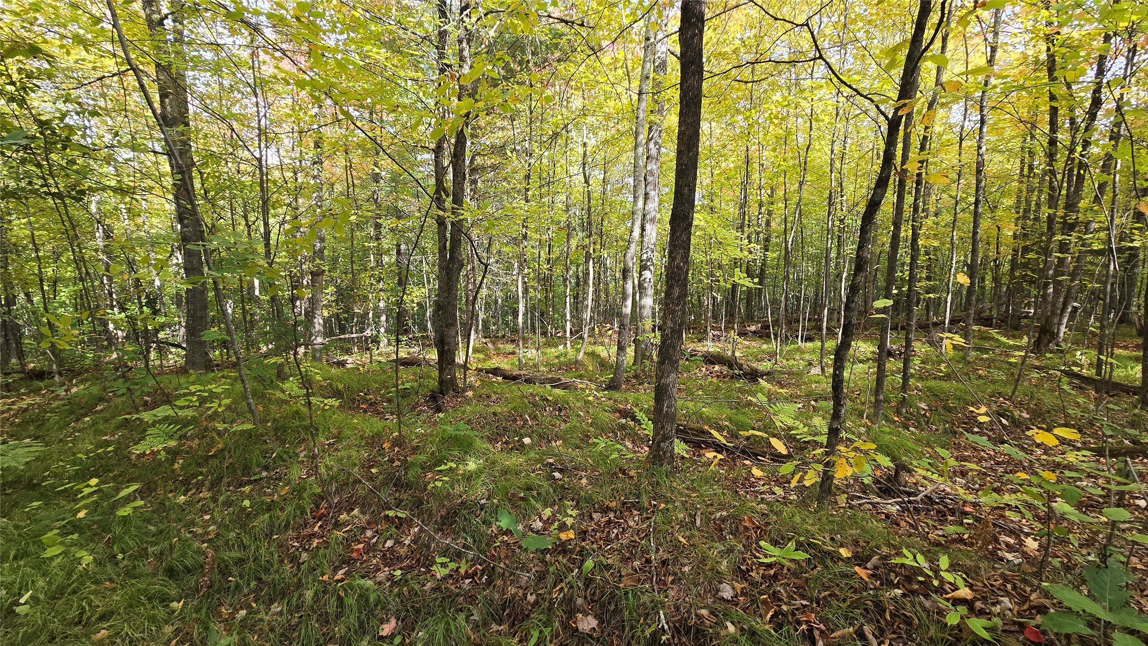 Lot 30 Woodcrest Drive Property Photo 2