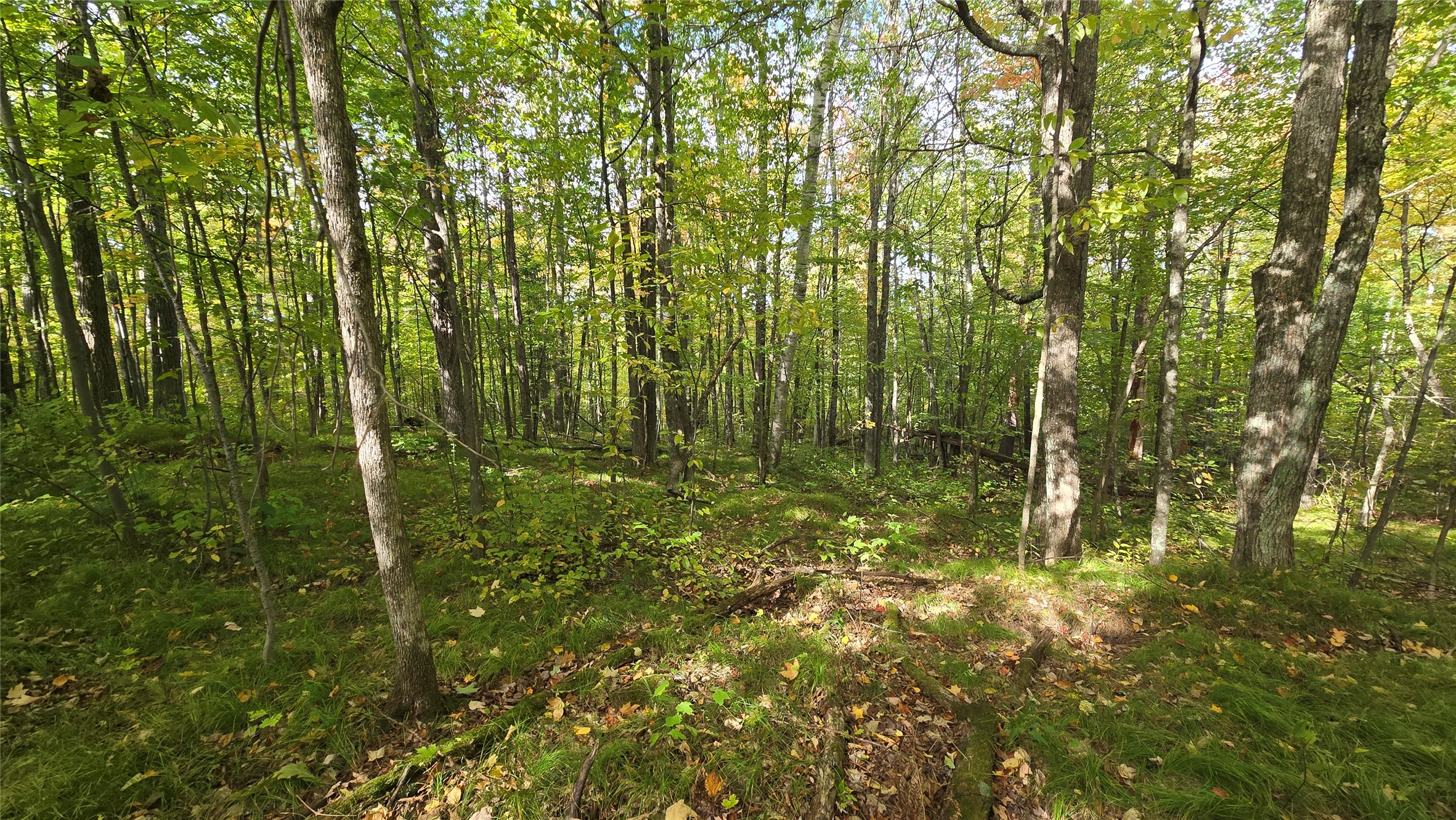 Lot 30 Woodcrest Drive Property Photo 3