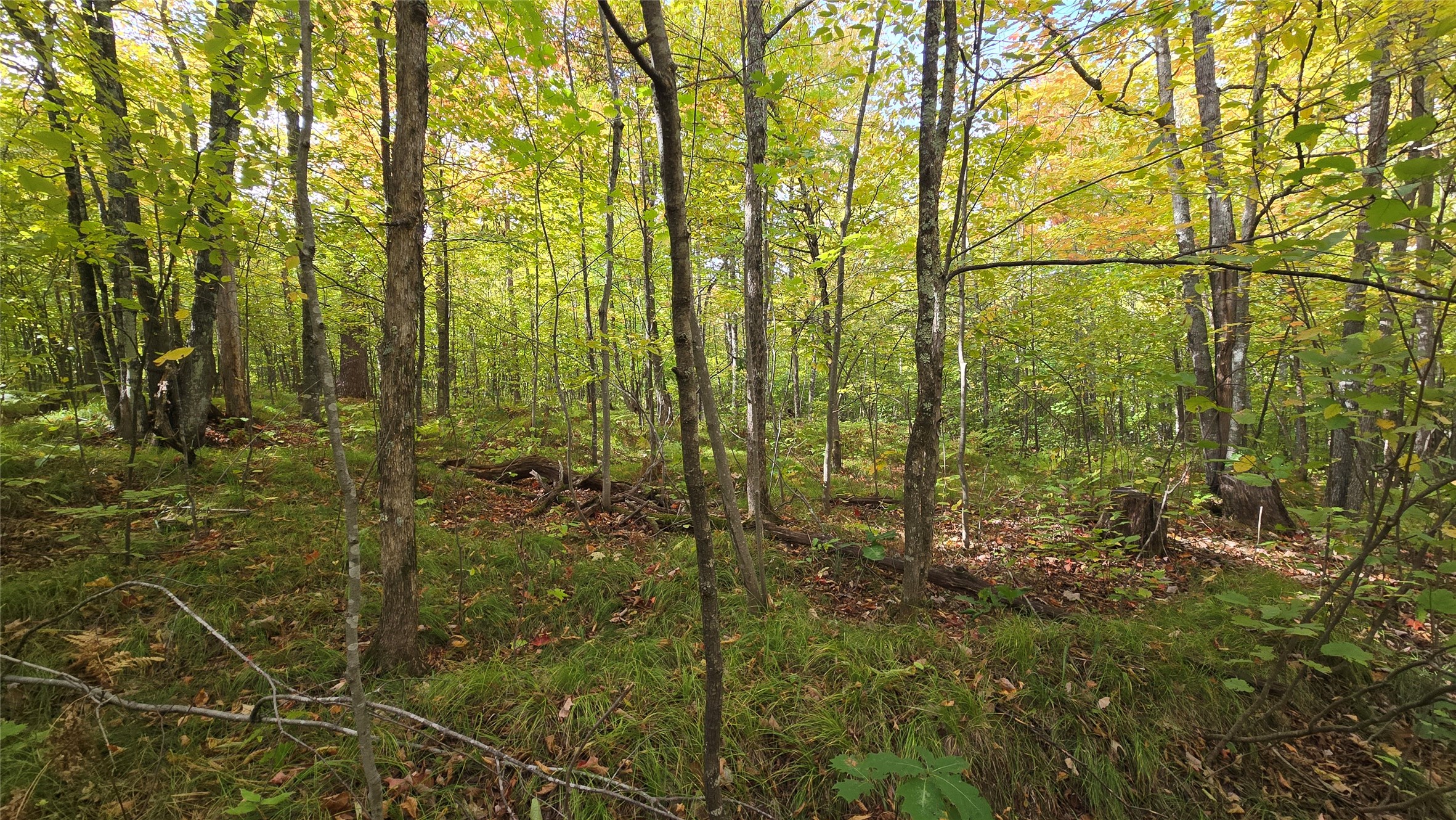 Lot 30 Woodcrest Drive Property Photo 4