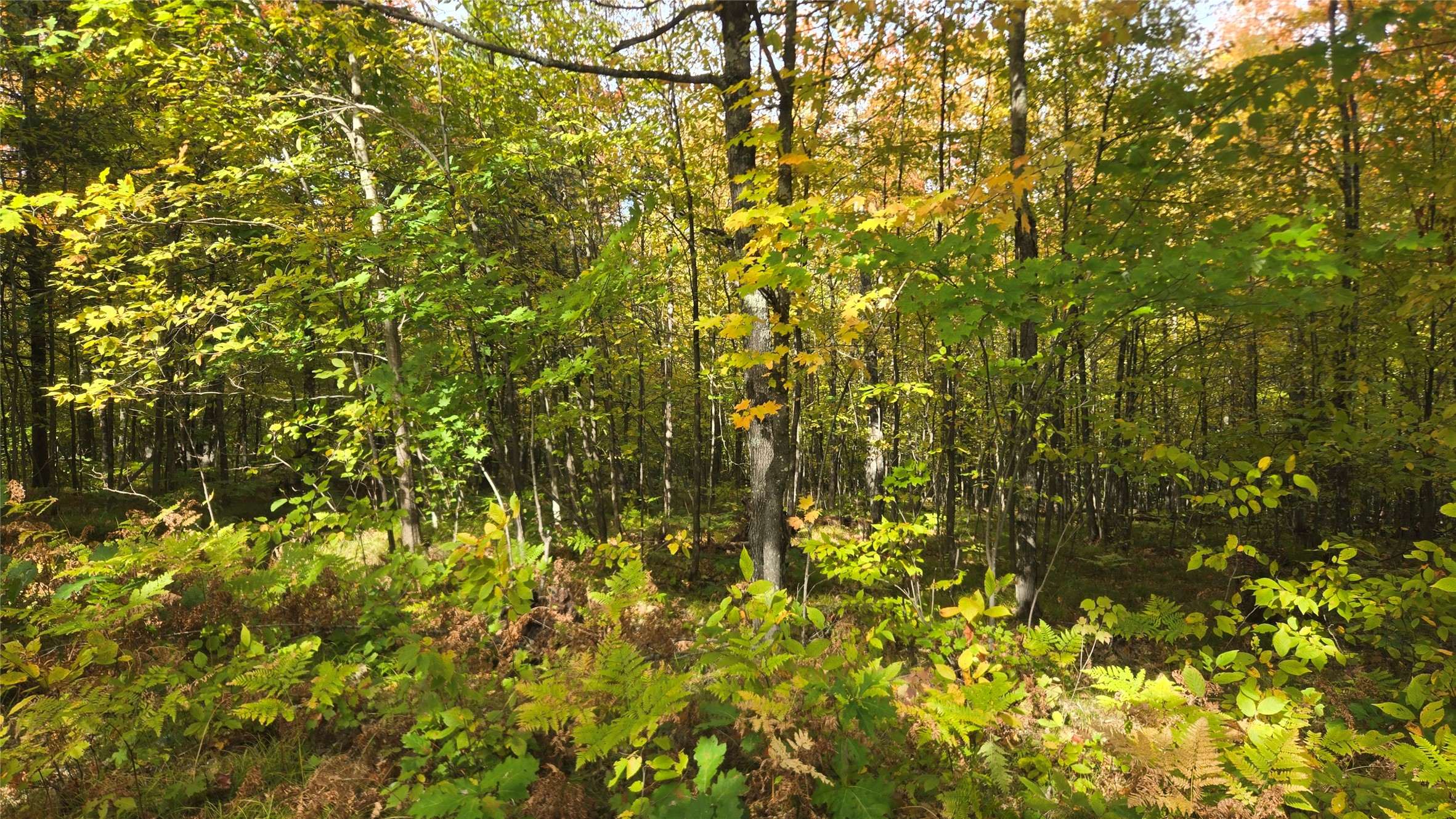 Lot 30 Woodcrest Drive Property Photo 5
