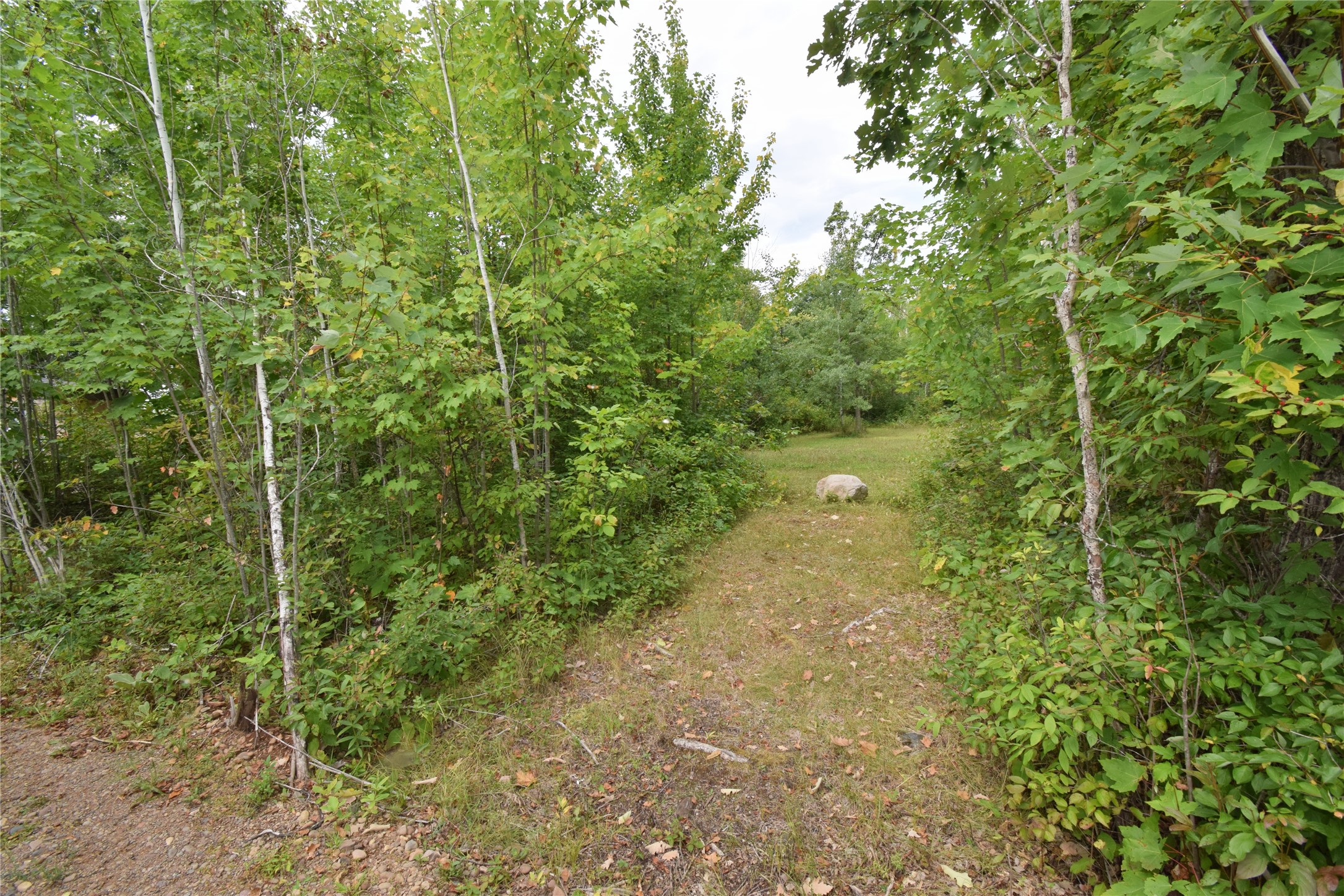 Tbd Hwy 77 Property Photo 4