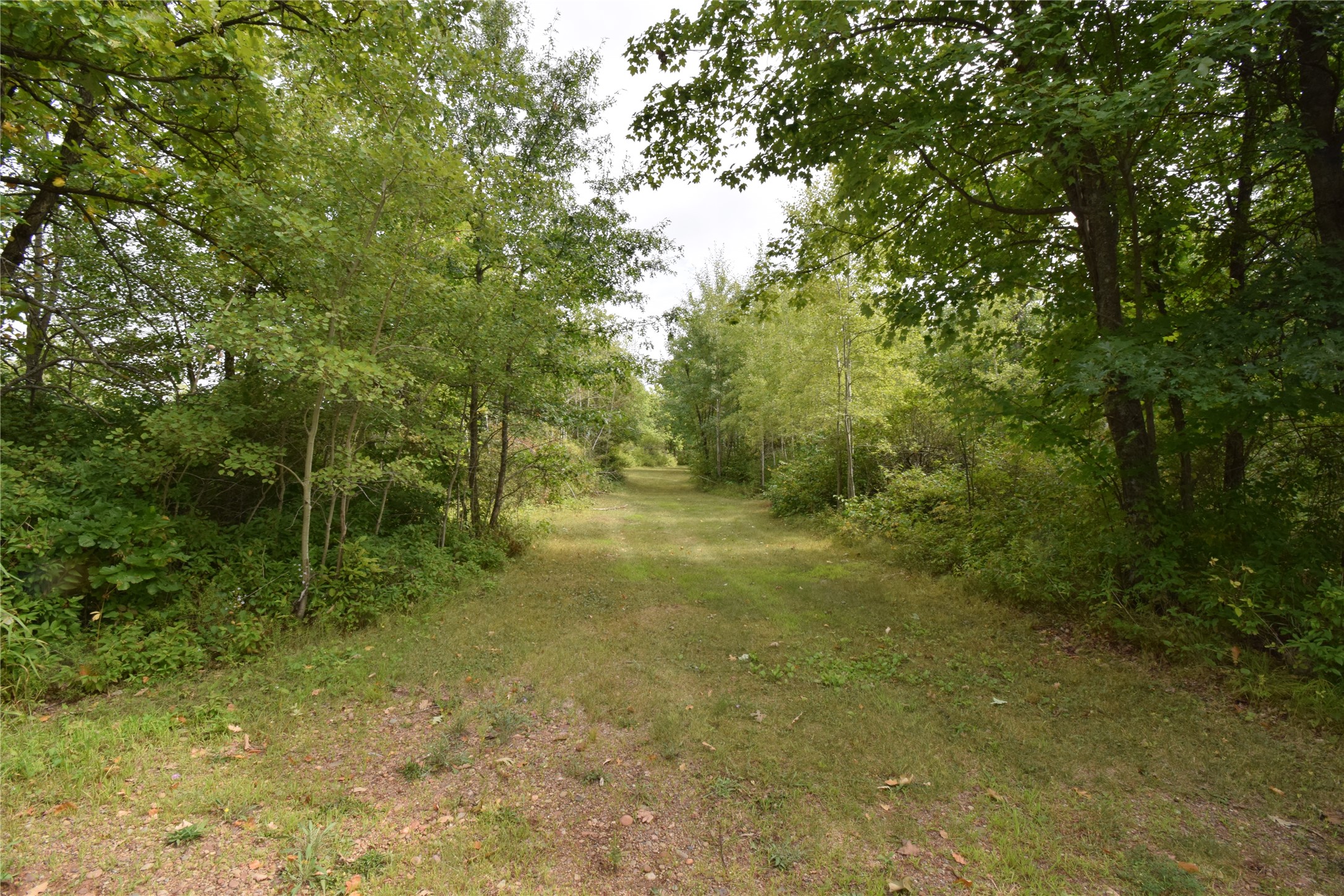 Tbd Hwy 77 Property Photo 8