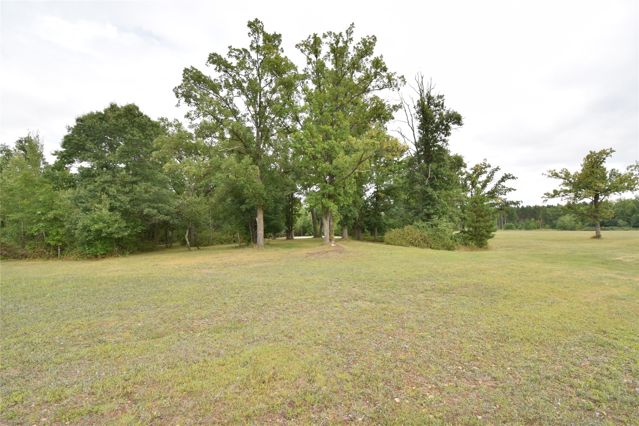 Tbd Hwy 77 Property Photo 13