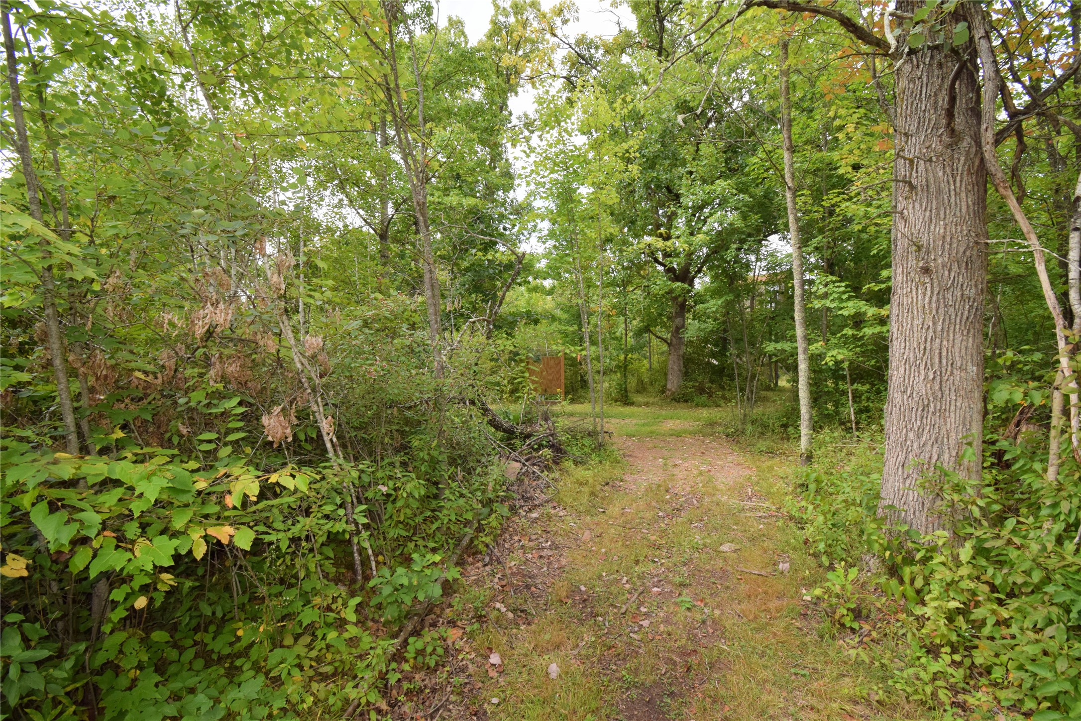 Tbd Hwy 77 Property Photo 20