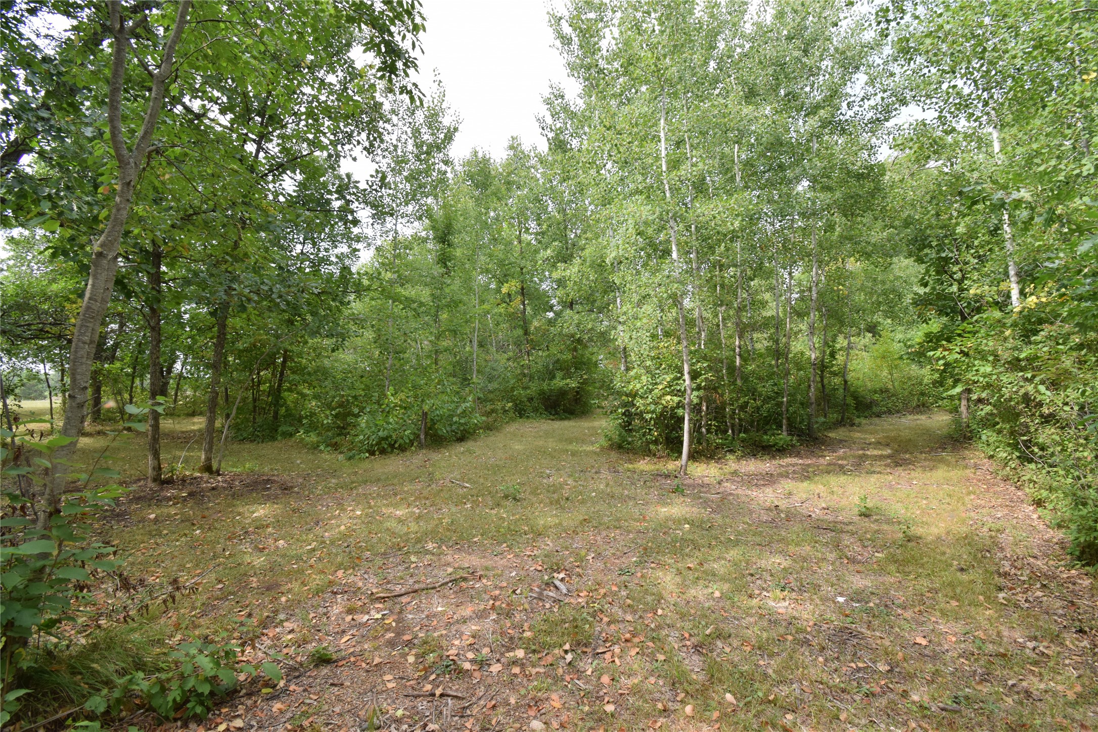 Tbd Hwy 77 Property Photo 27