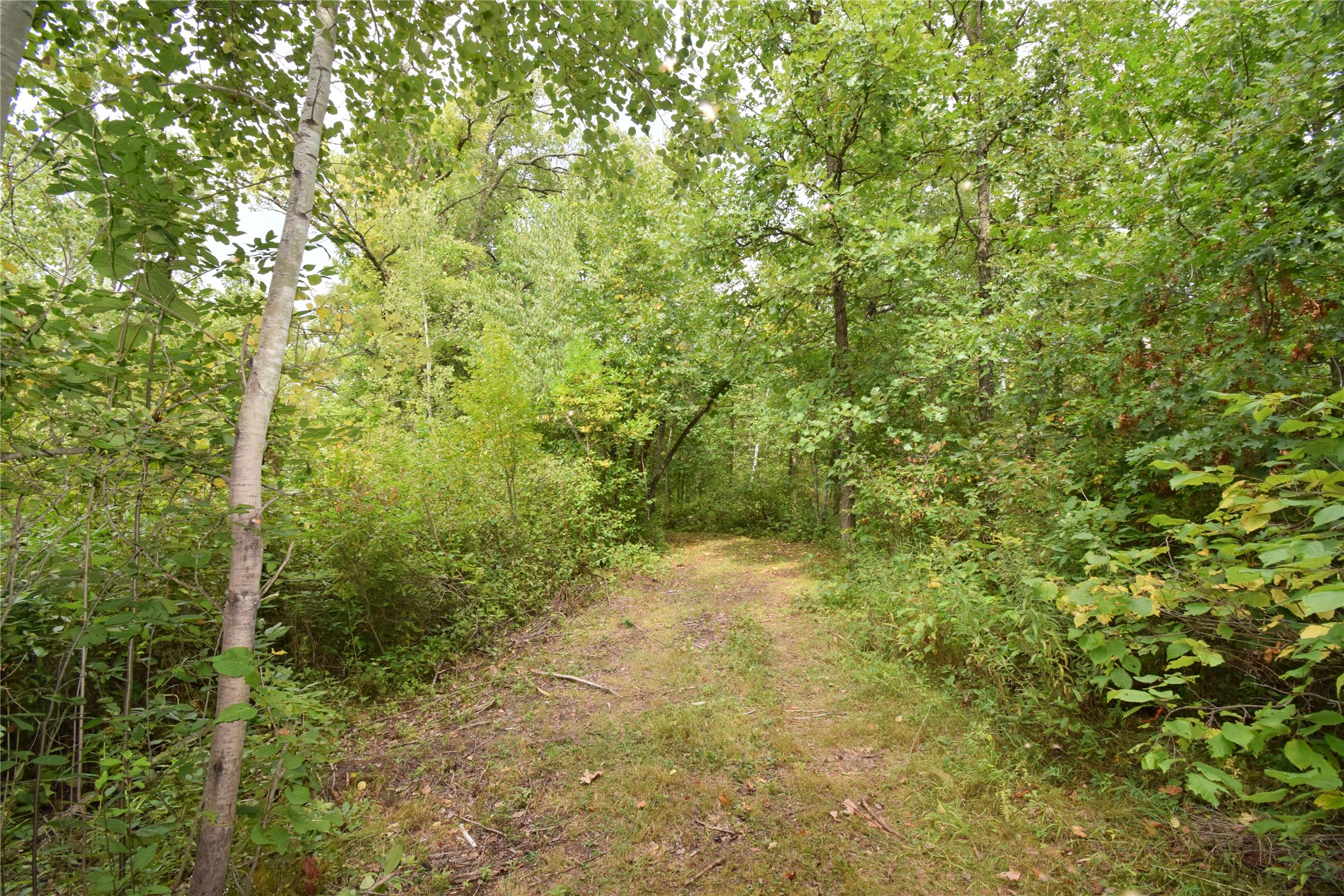 Tbd Hwy 77 Property Photo 29