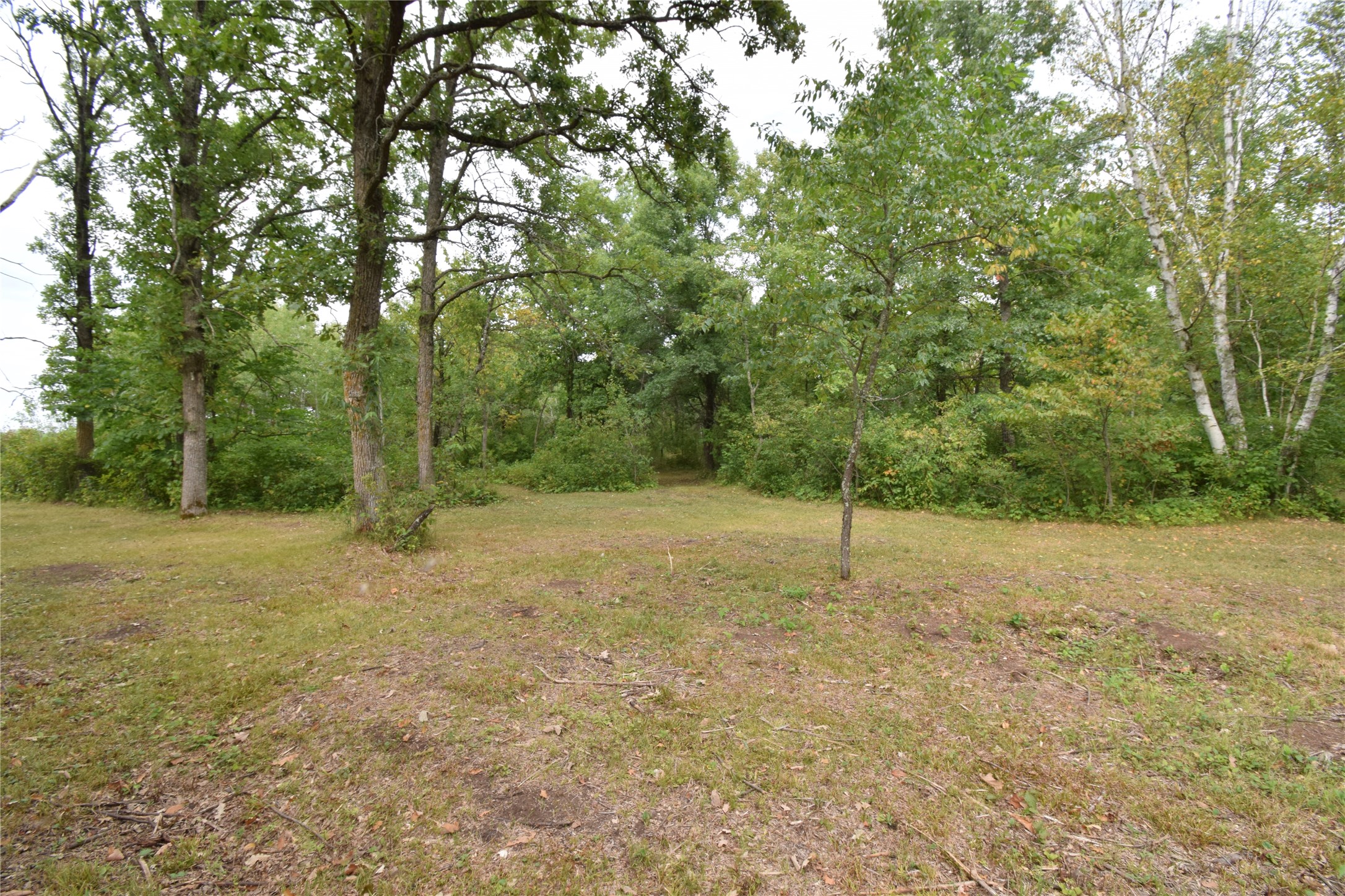 Tbd Hwy 77 Property Photo 31