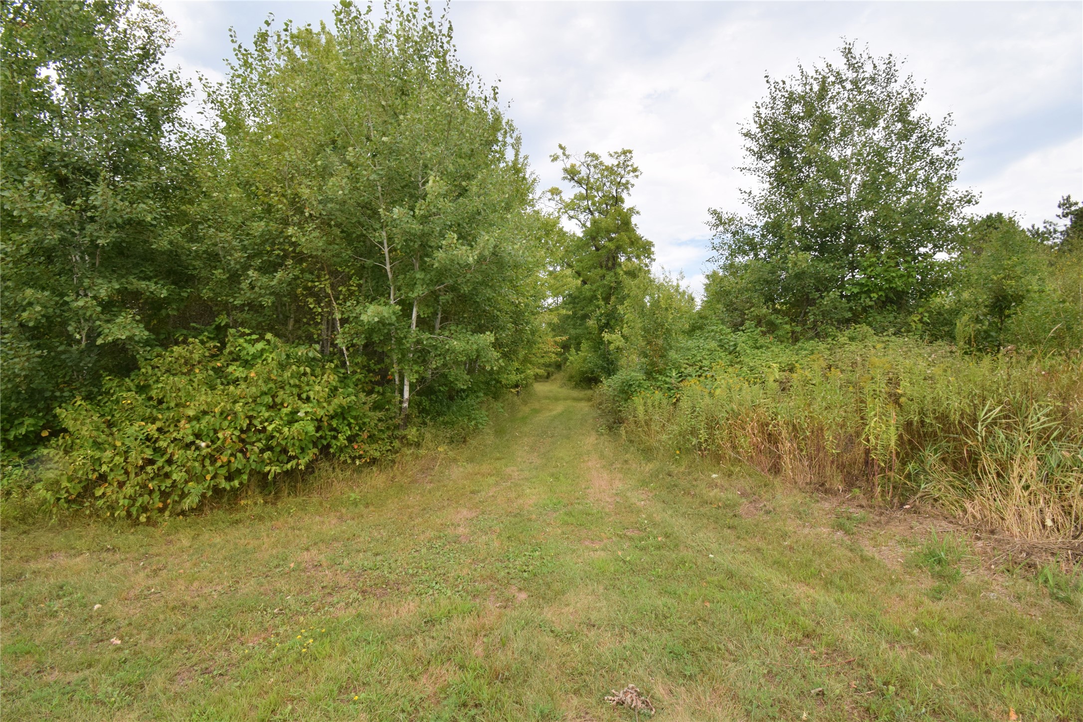 Tbd Hwy 77 Property Photo 32