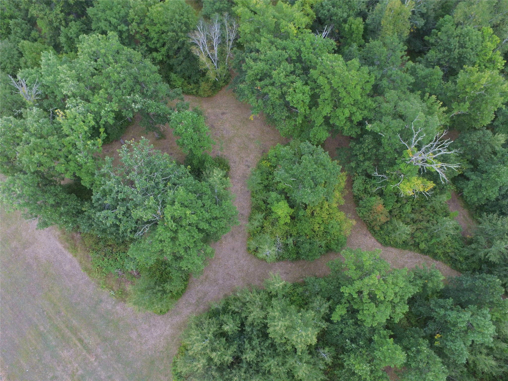 Tbd Hwy 77 Property Photo 38