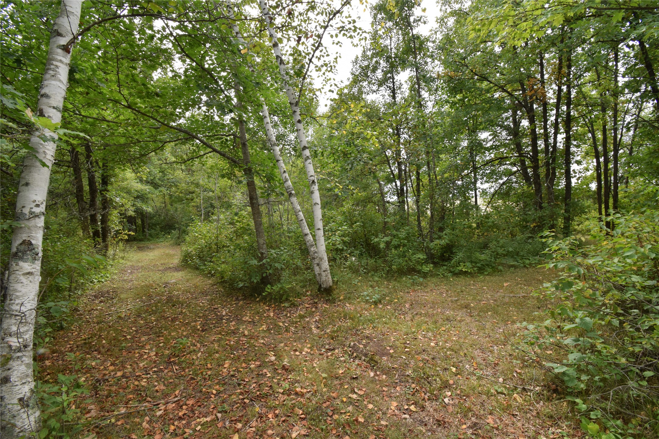 Tbd State Highway 77 Property Photo 5