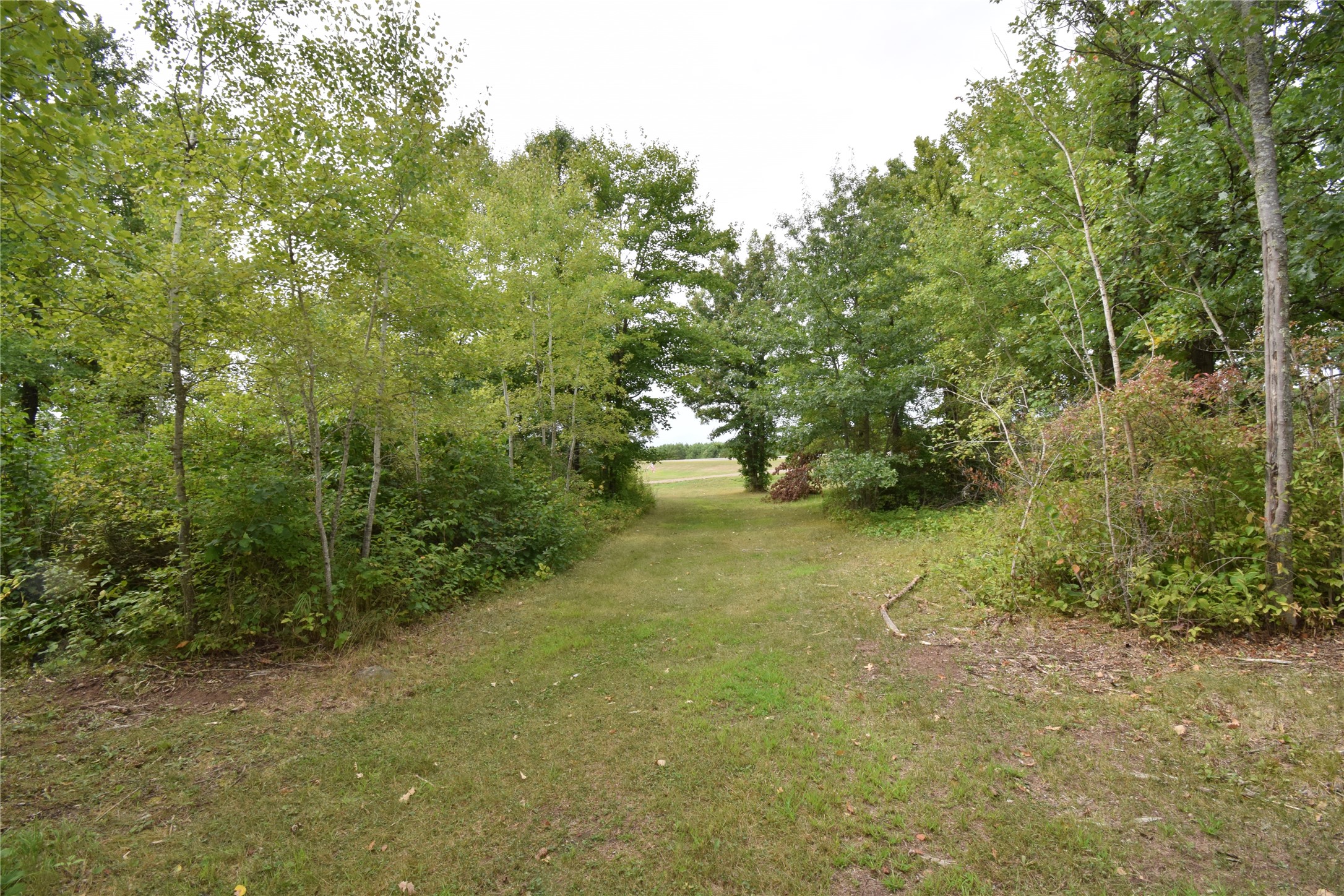 Tbd State Highway 77 Property Photo 6