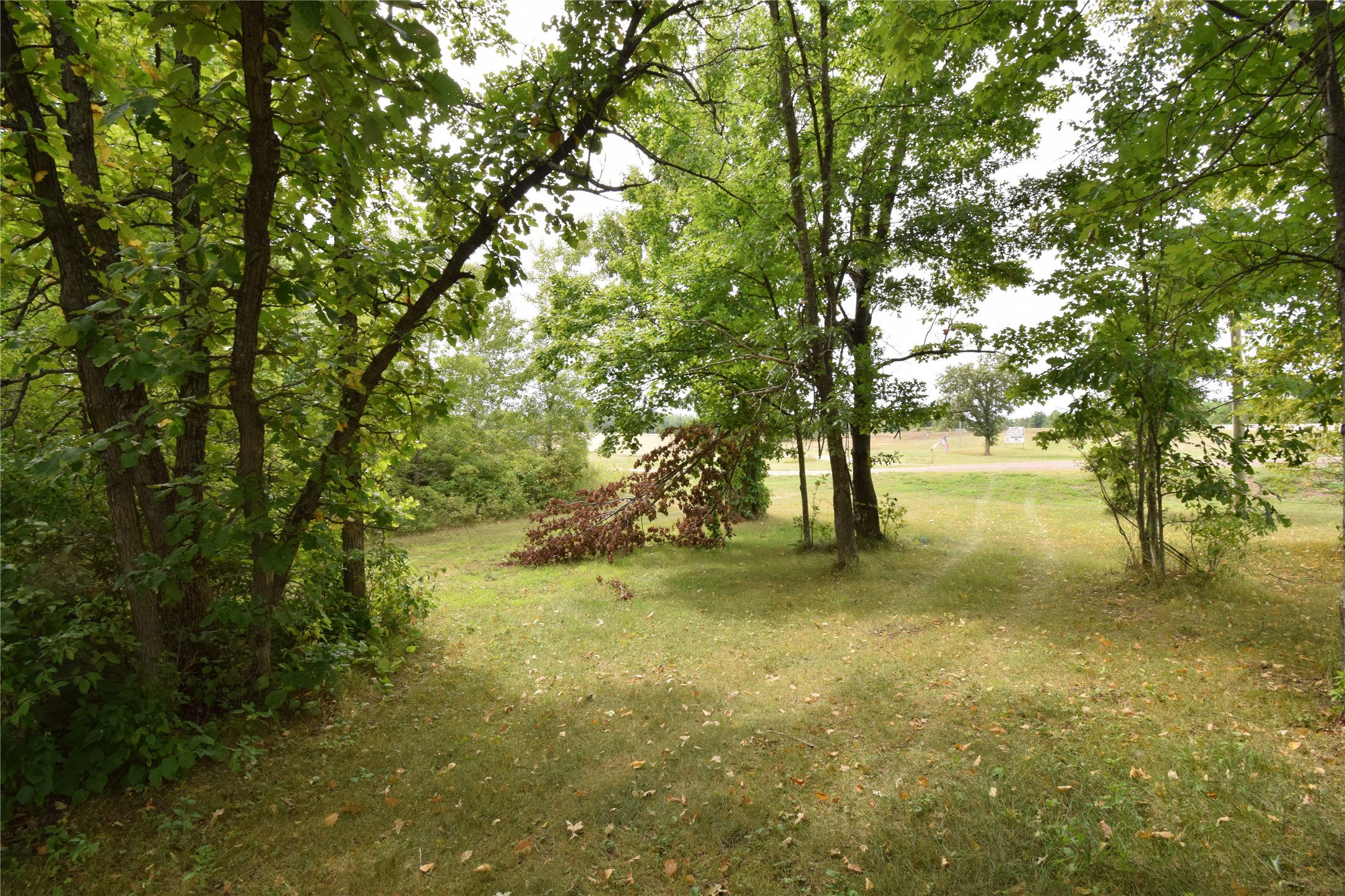 Tbd State Highway 77 Property Photo 7