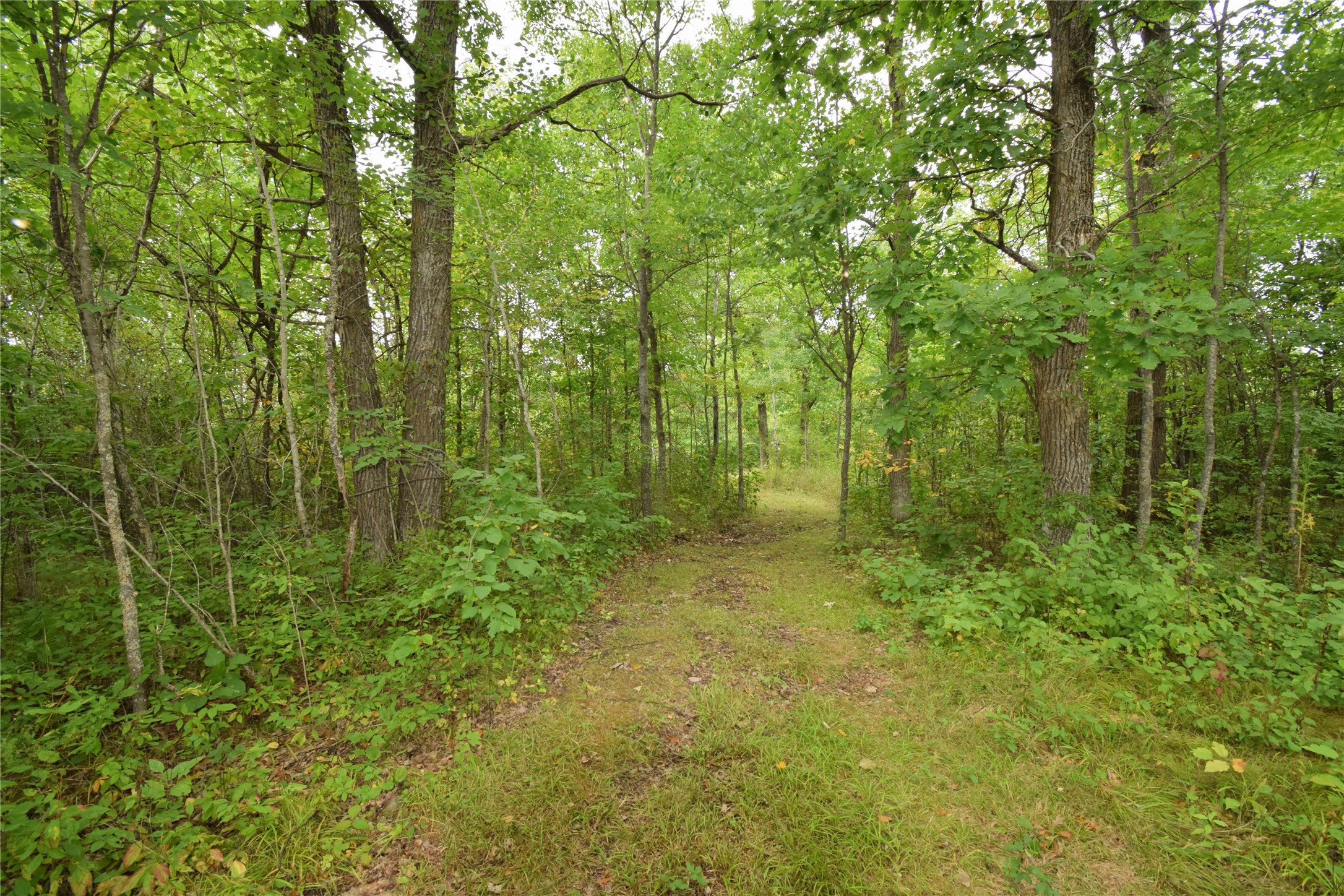 Tbd State Highway 77 Property Photo 9