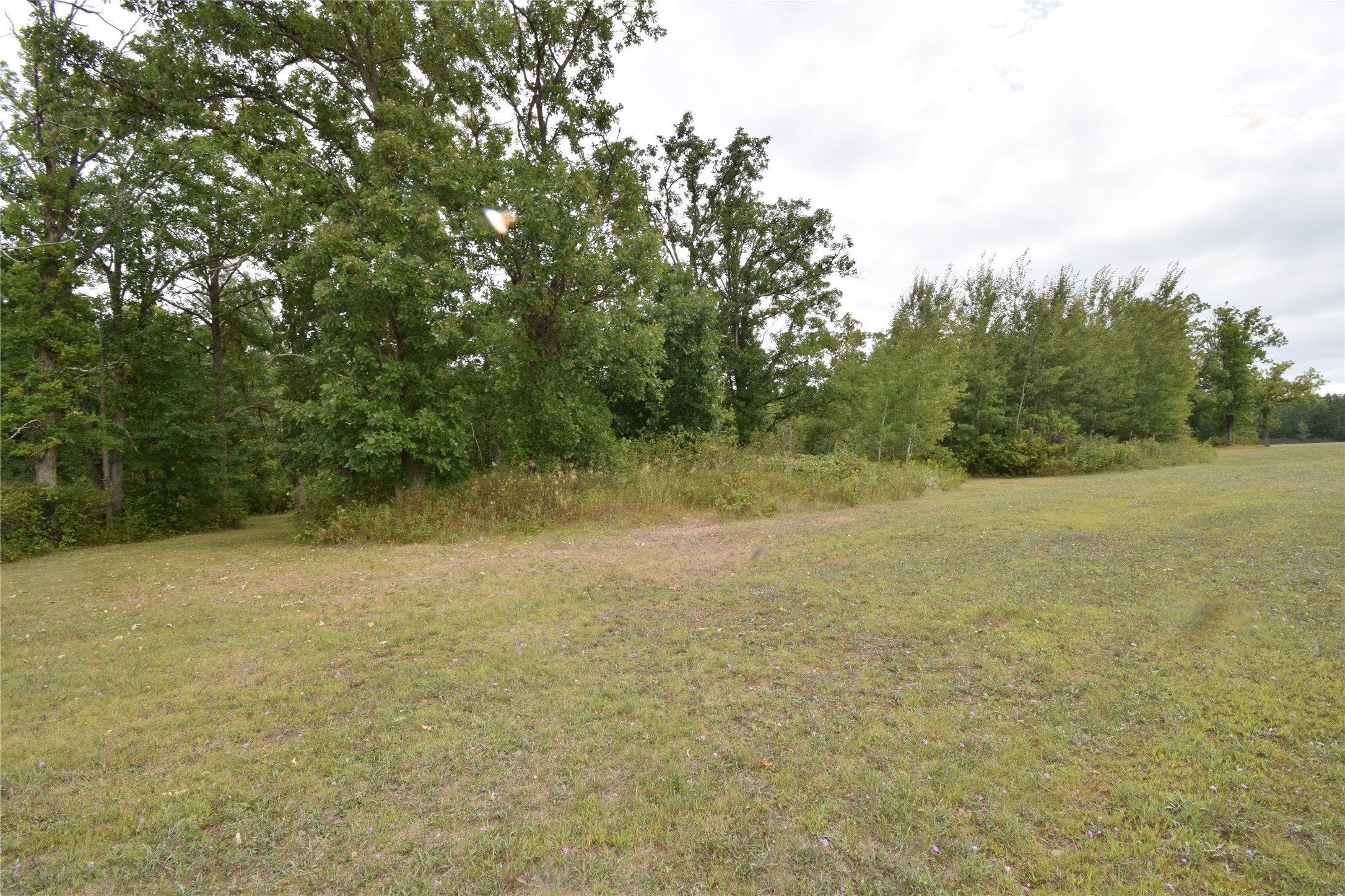 Tbd State Highway 77 Property Photo 10