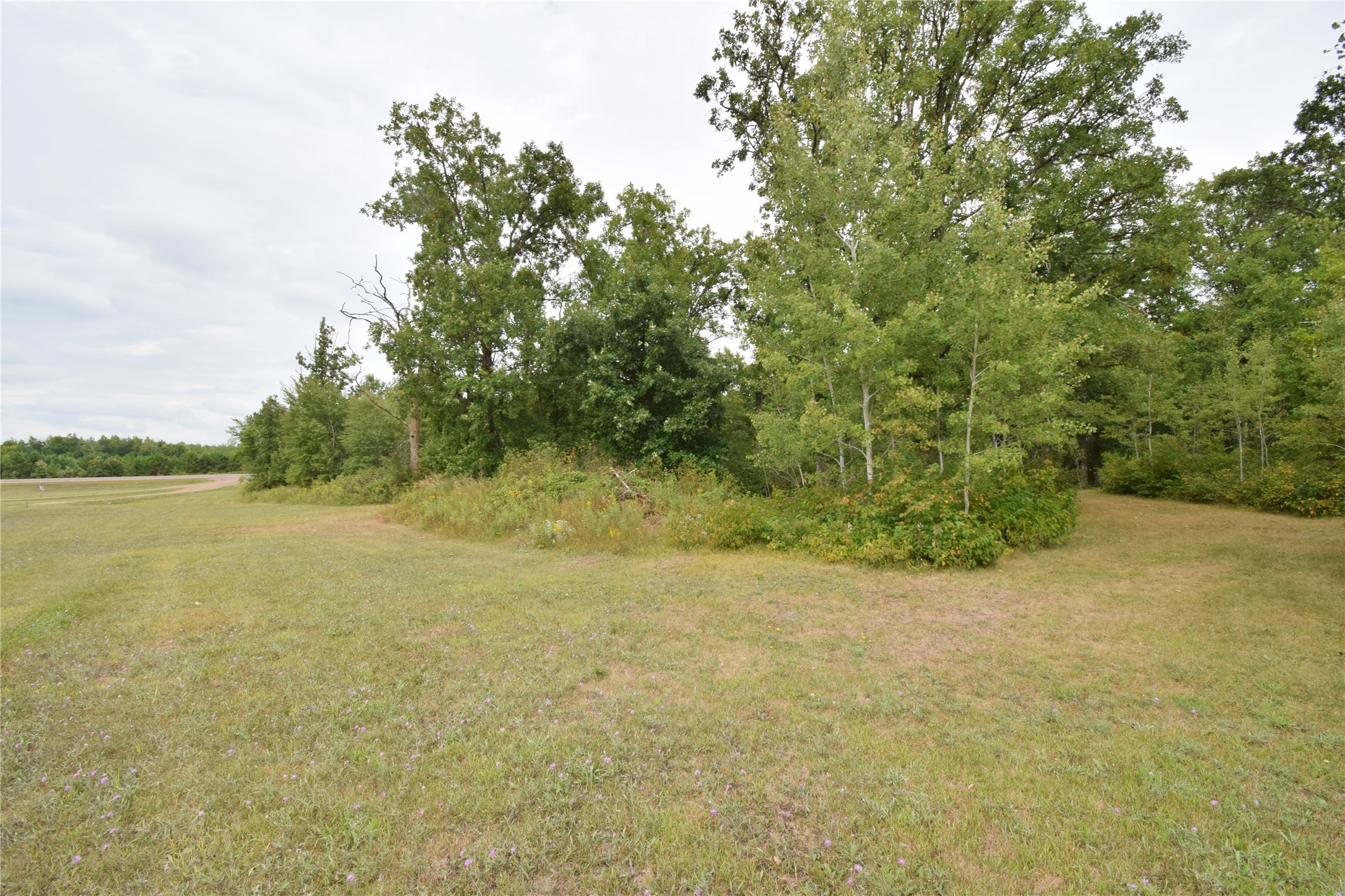 Tbd State Highway 77 Property Photo 12