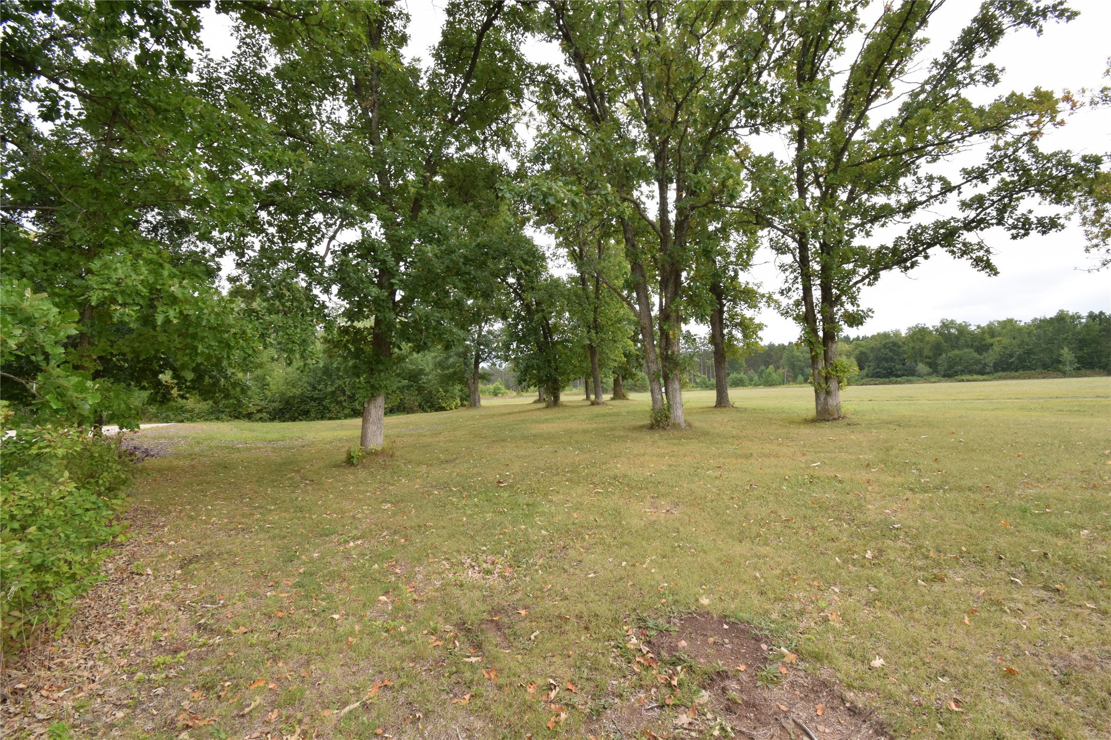 Tbd State Highway 77 Property Photo 18