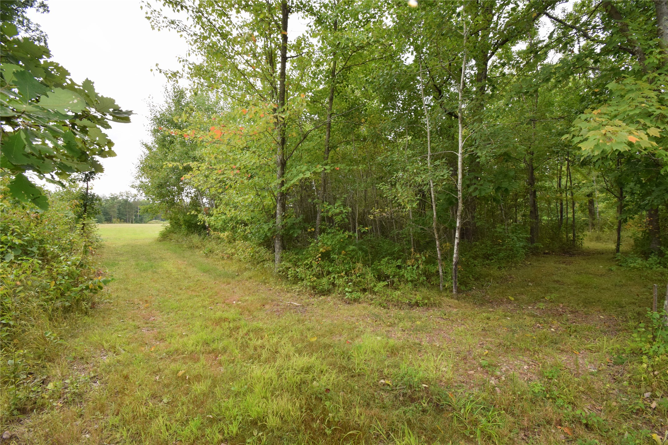 Tbd State Highway 77 Property Photo 33