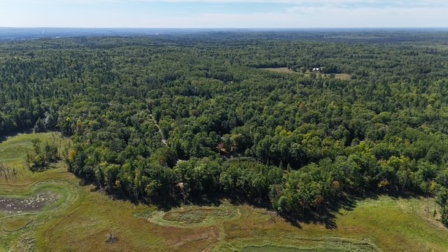11352 N Sunset Circle Property Photo 26