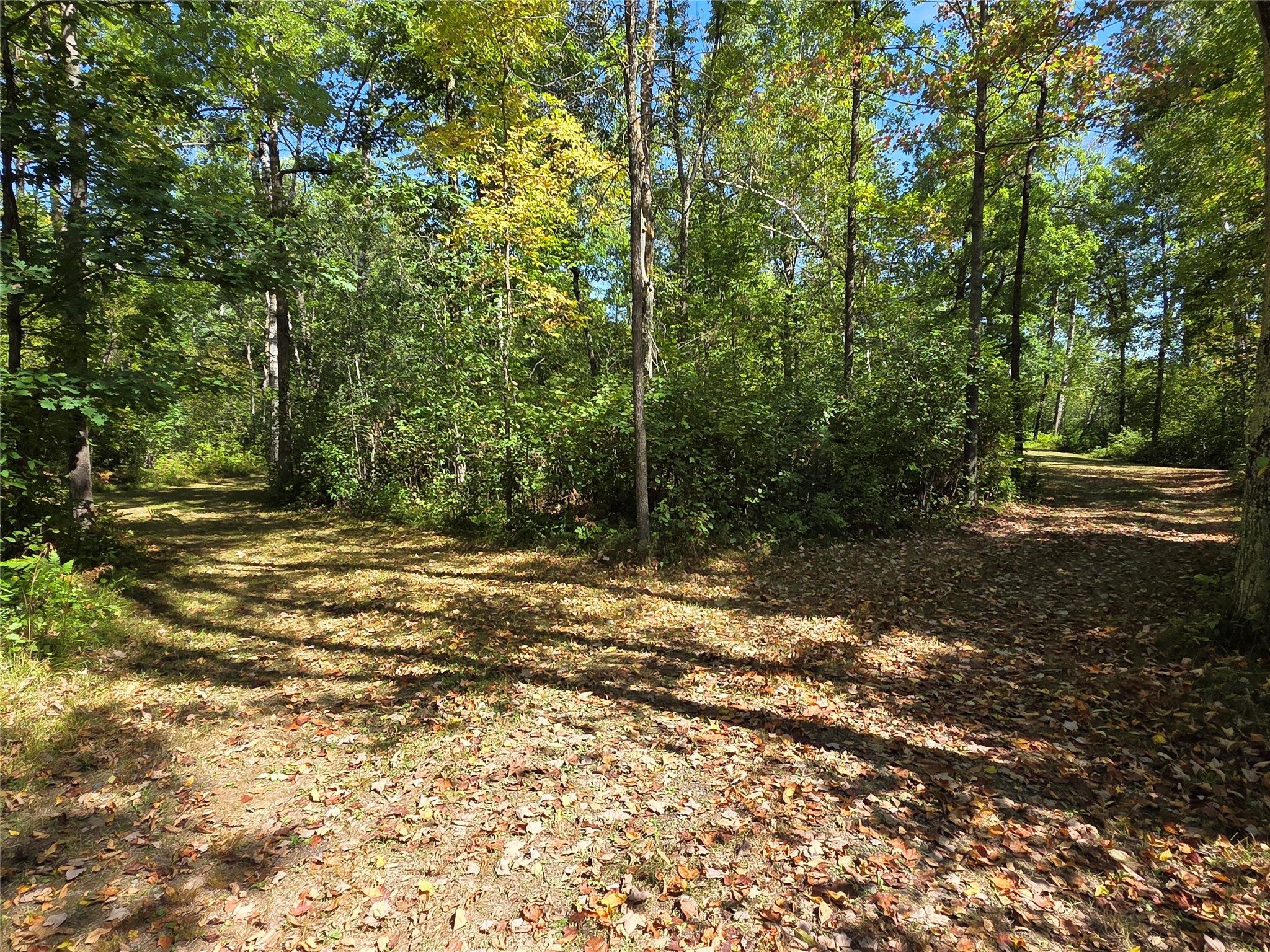 2809 28 11/16 Street Property Photo 44