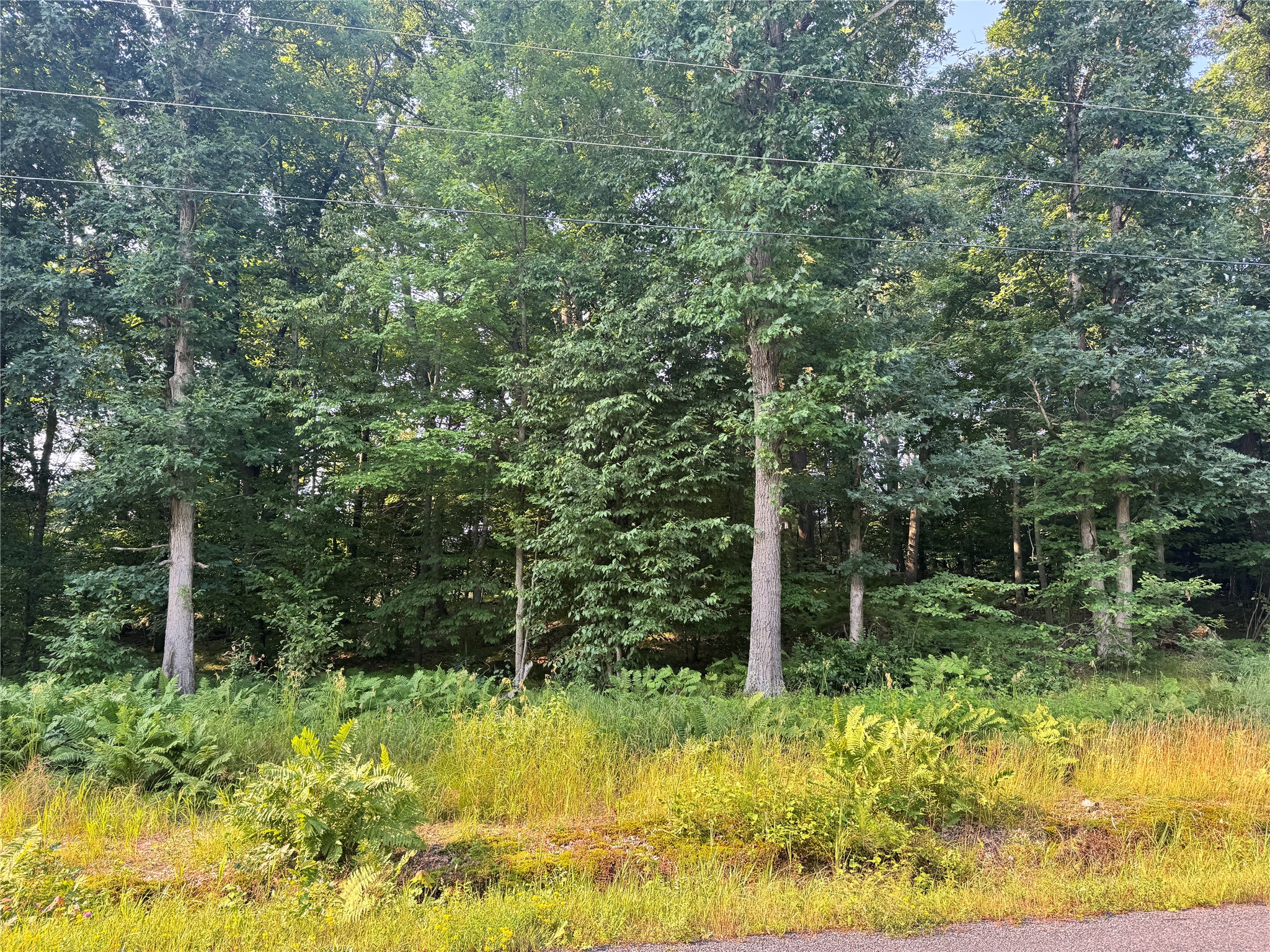 ### Oak Drive Property Photo 1