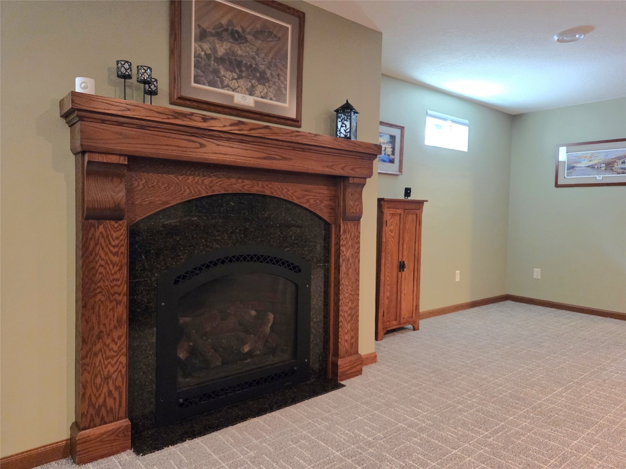 910 Scharbillig Court Property Photo 36