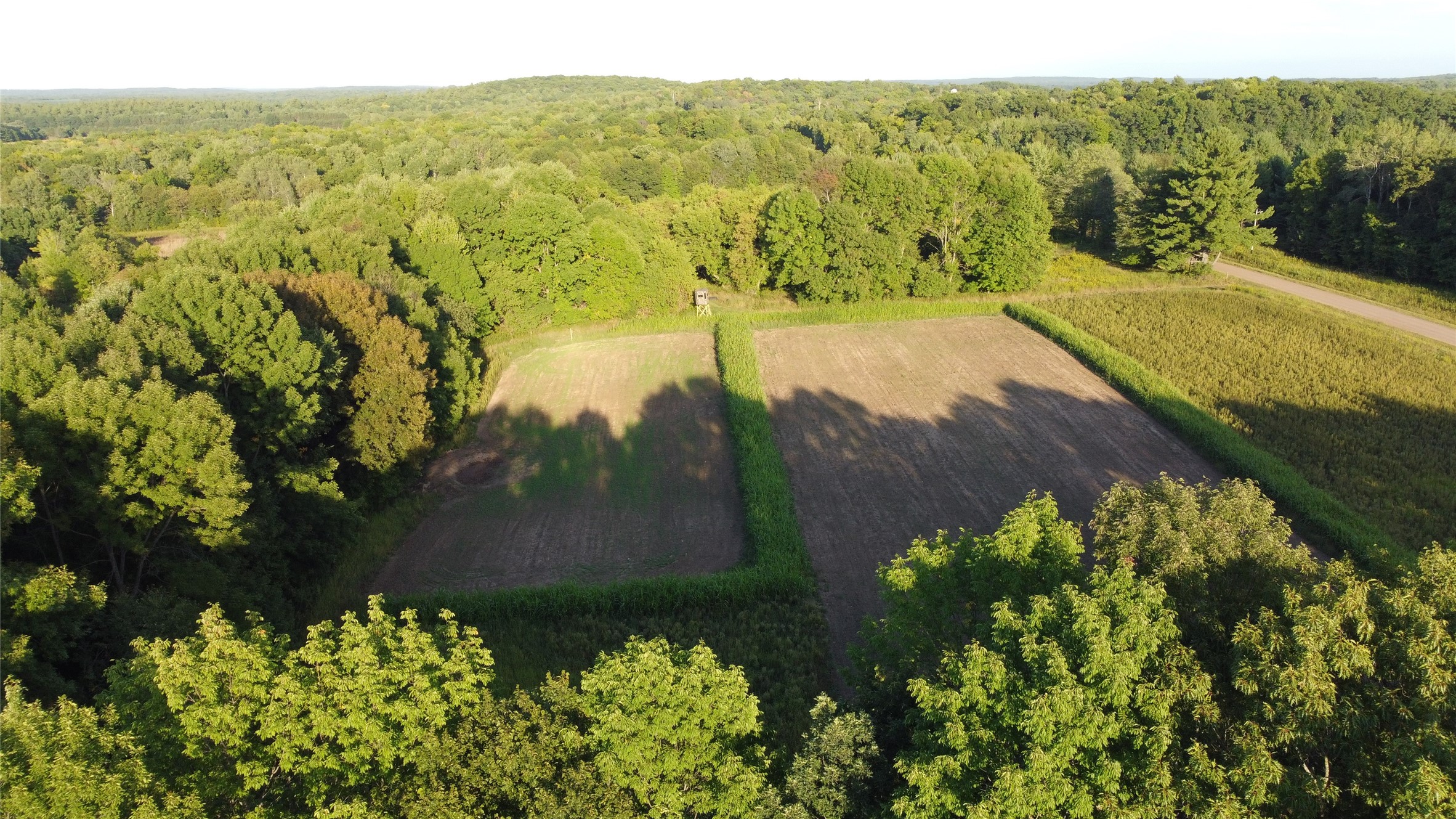 Lot 1 340th Avenue Property Photo 2