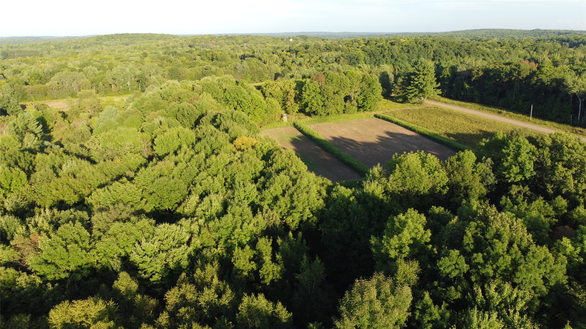 Lot 1 340th Avenue Property Photo 4