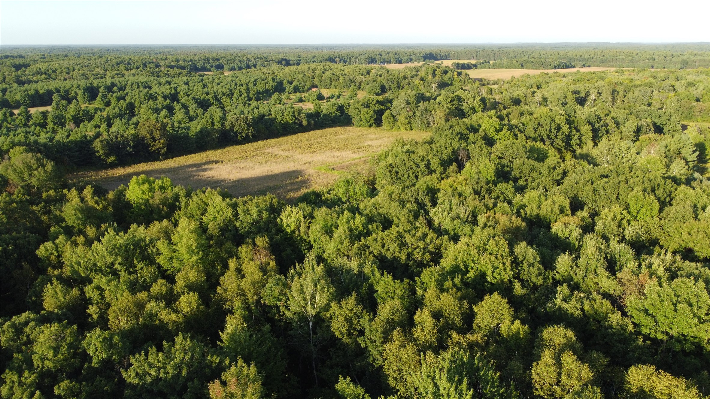 Lot 1 340th Avenue Property Photo 5
