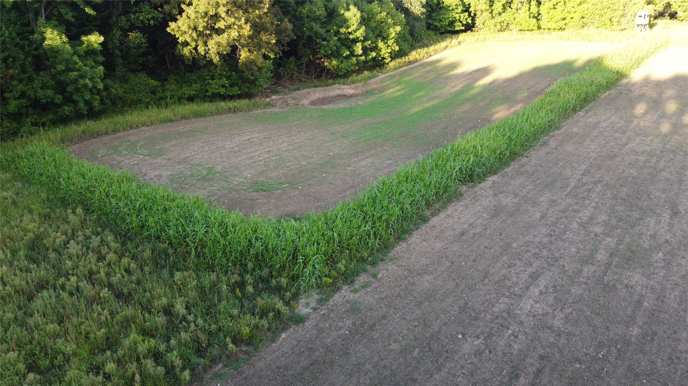 Lot 1 340th Avenue Property Photo 6