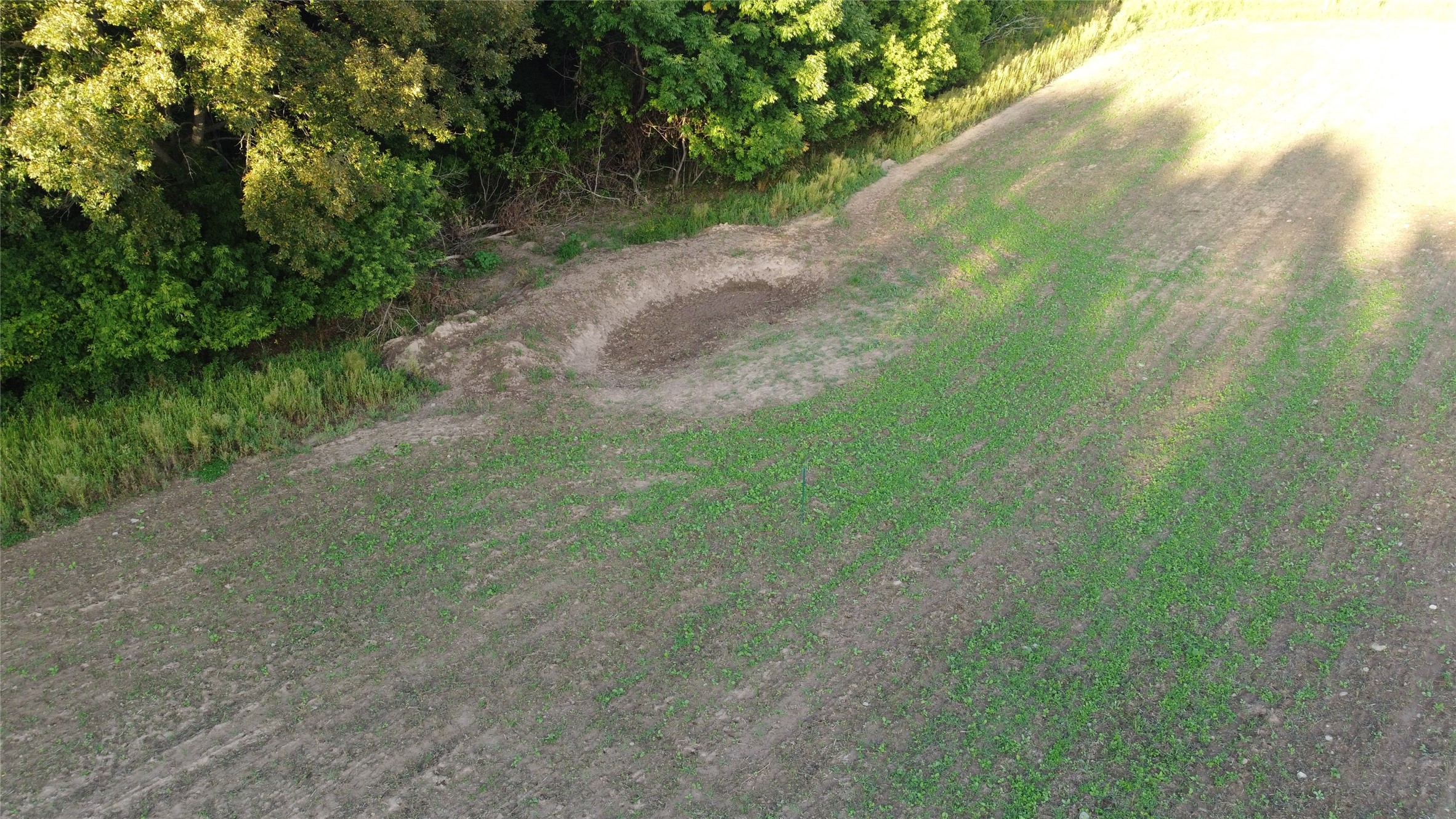 Lot 1 340th Avenue Property Photo 7