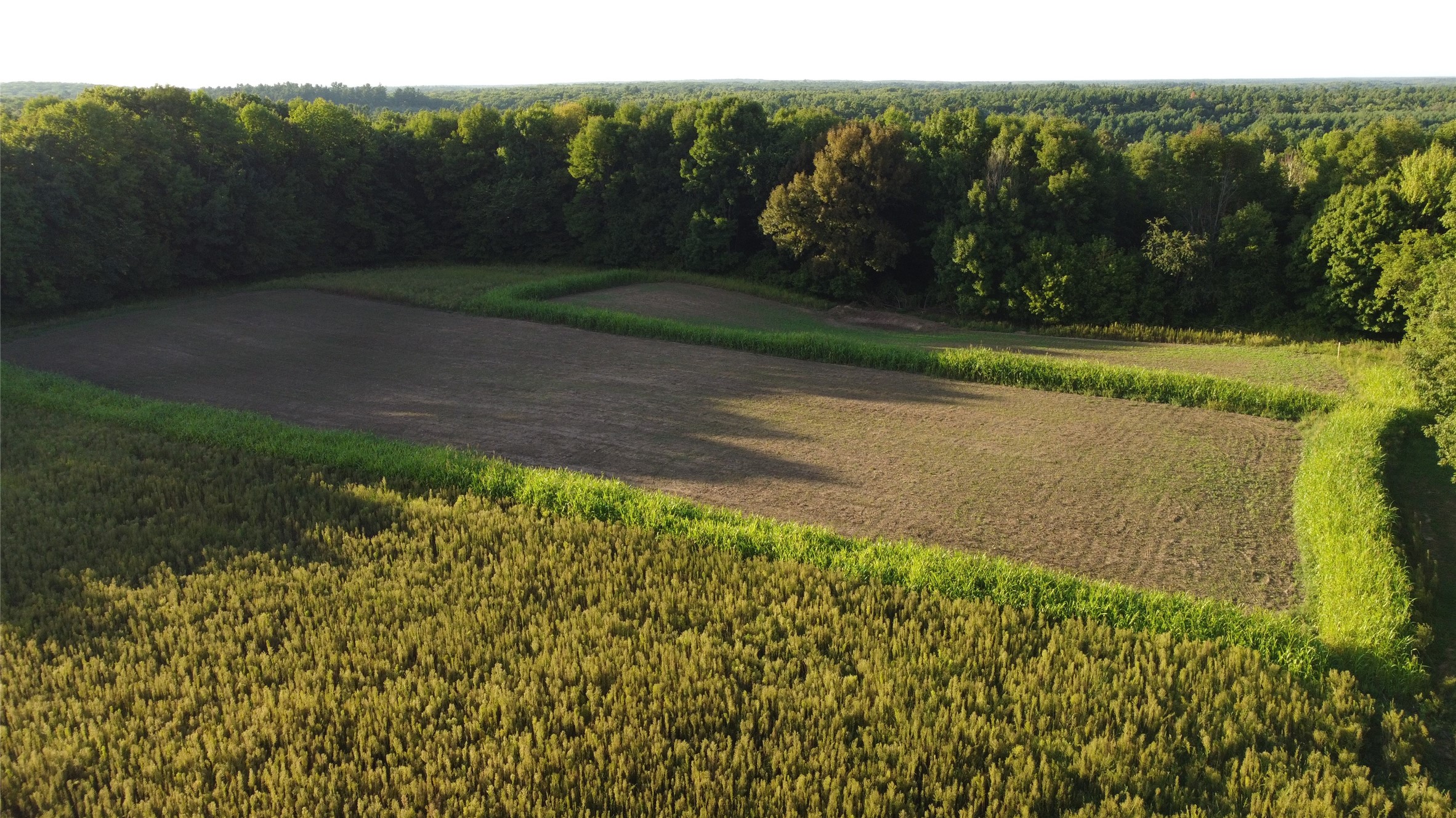 Lot 1 340th Avenue Property Photo 8