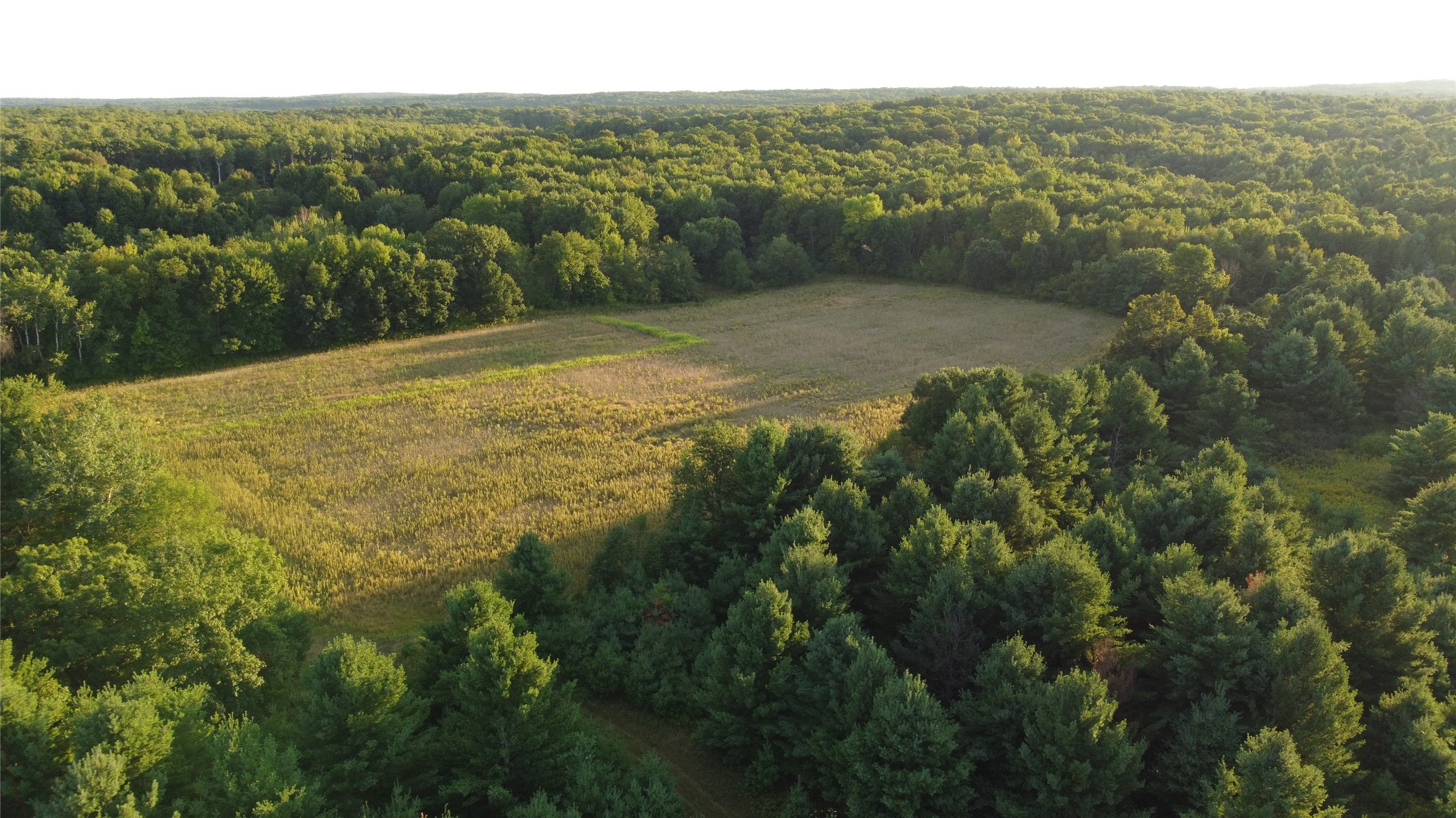 Lot 1 340th Avenue Property Photo 10