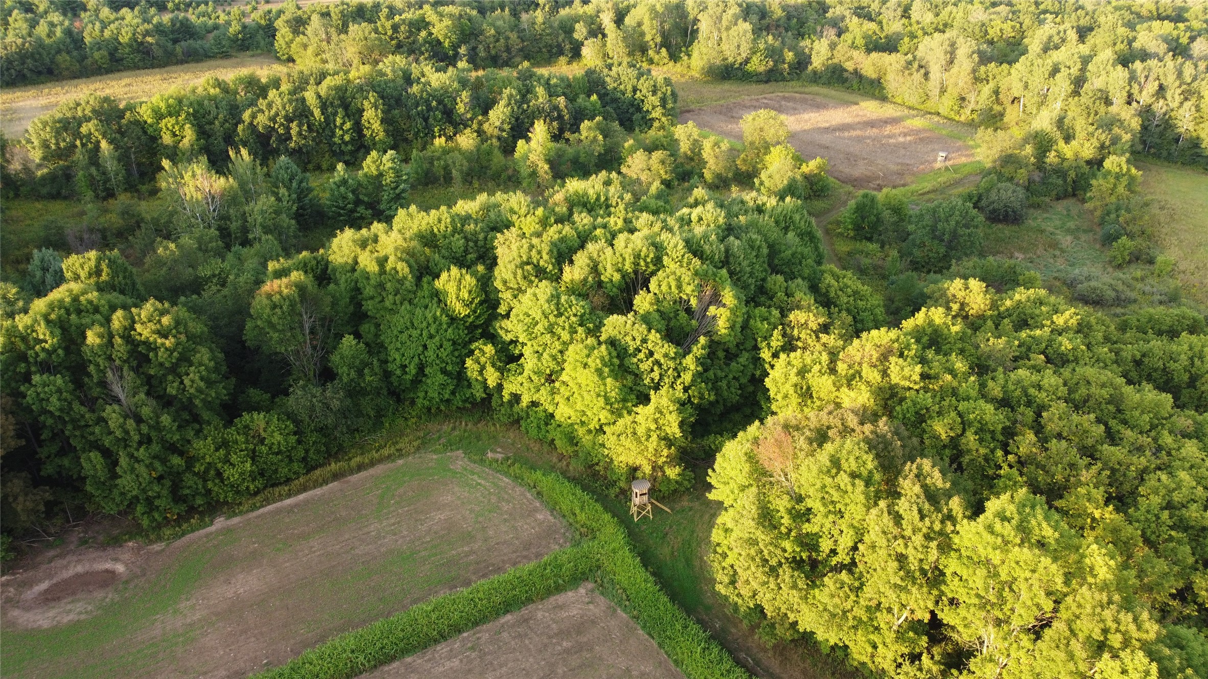 Lot 1 340th Avenue Property Photo 12