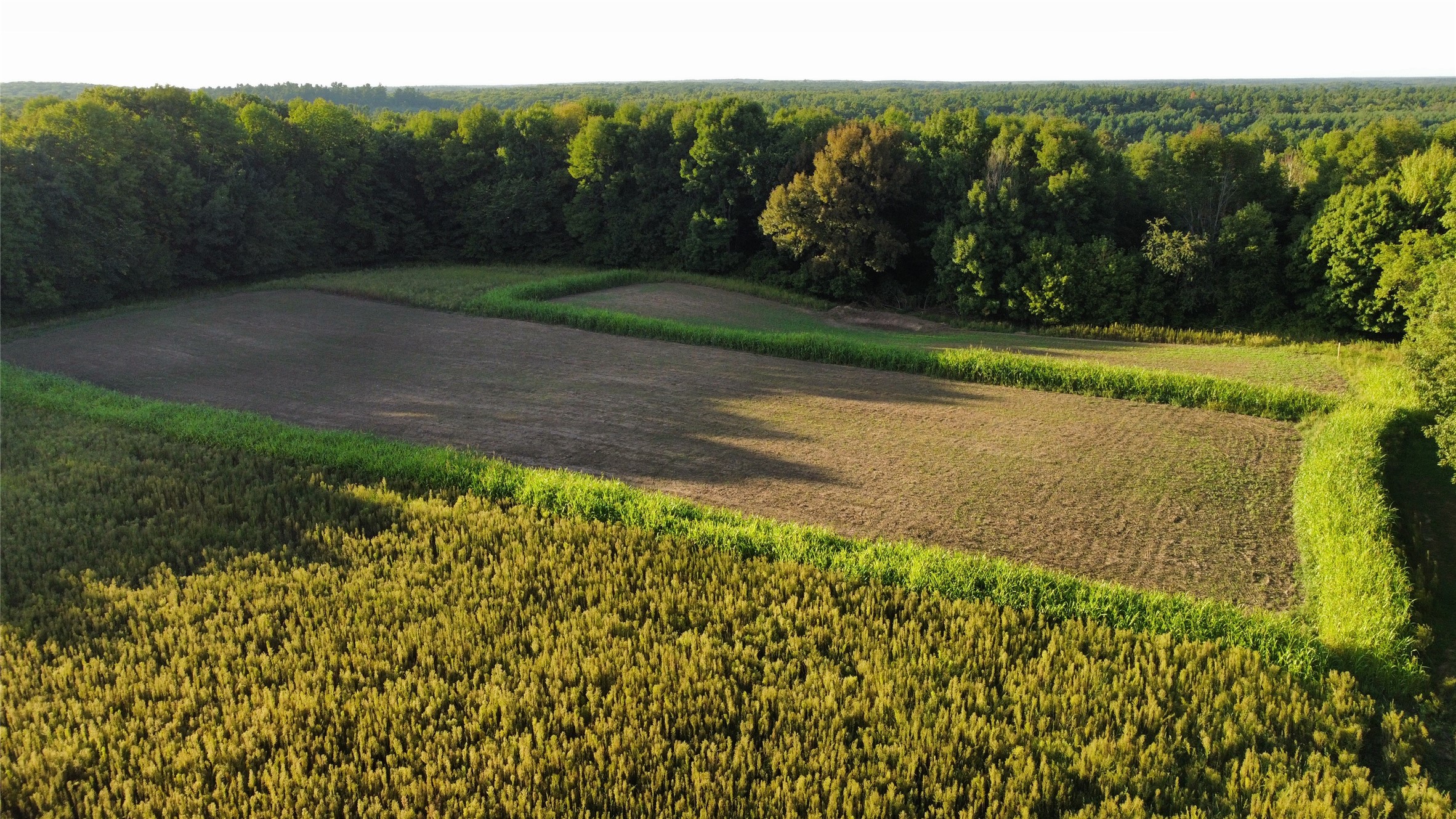 Lot 1 340th Avenue Property Photo 15
