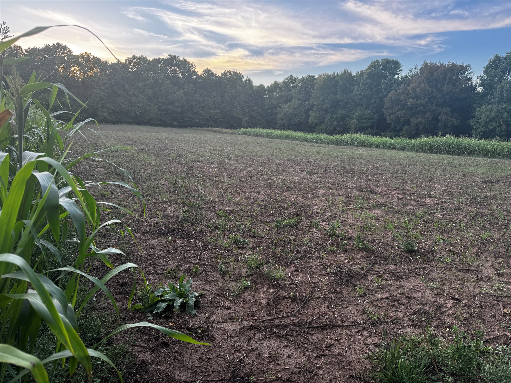 Lot 1 340th Avenue Property Photo 19