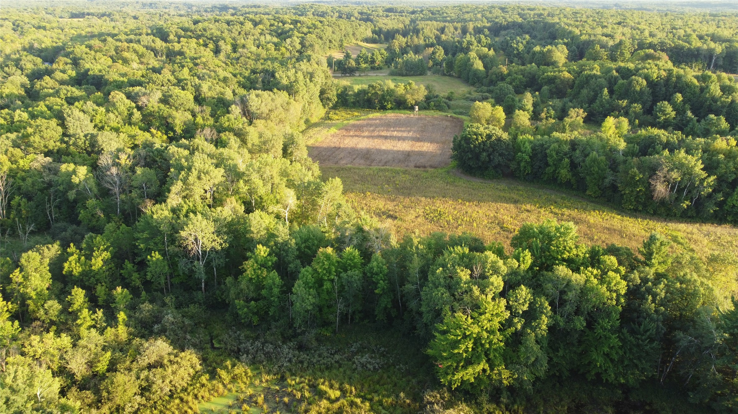 Lot 3 340th Avenue Property Photo 3