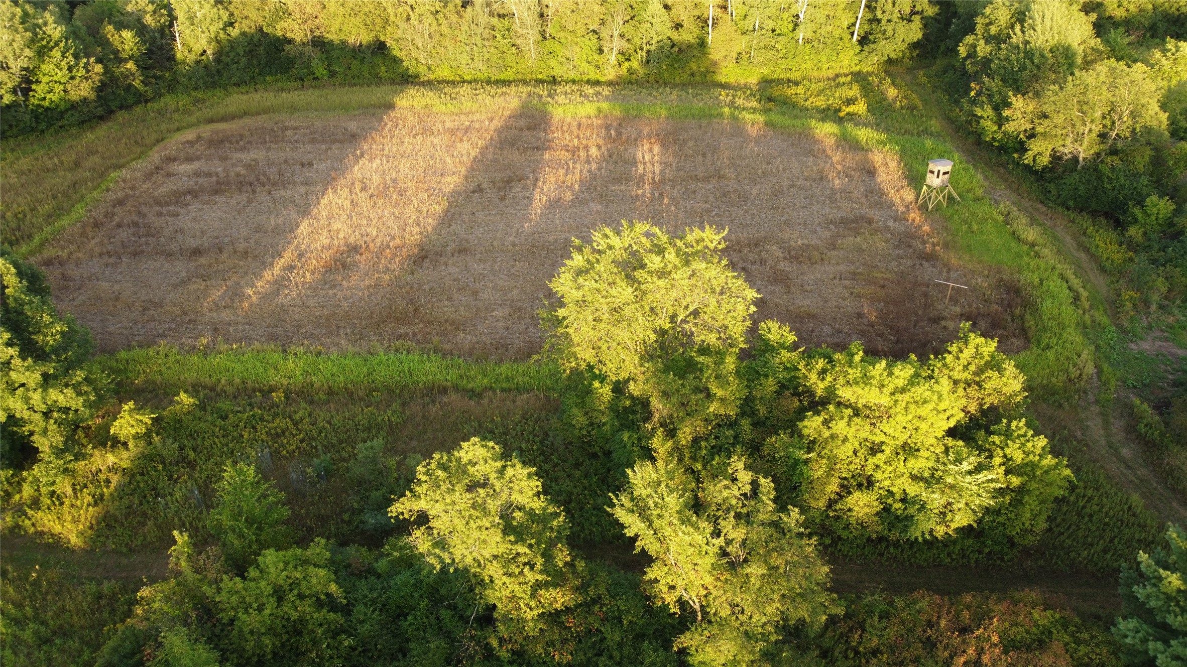 Lot 3 340th Avenue Property Photo 4