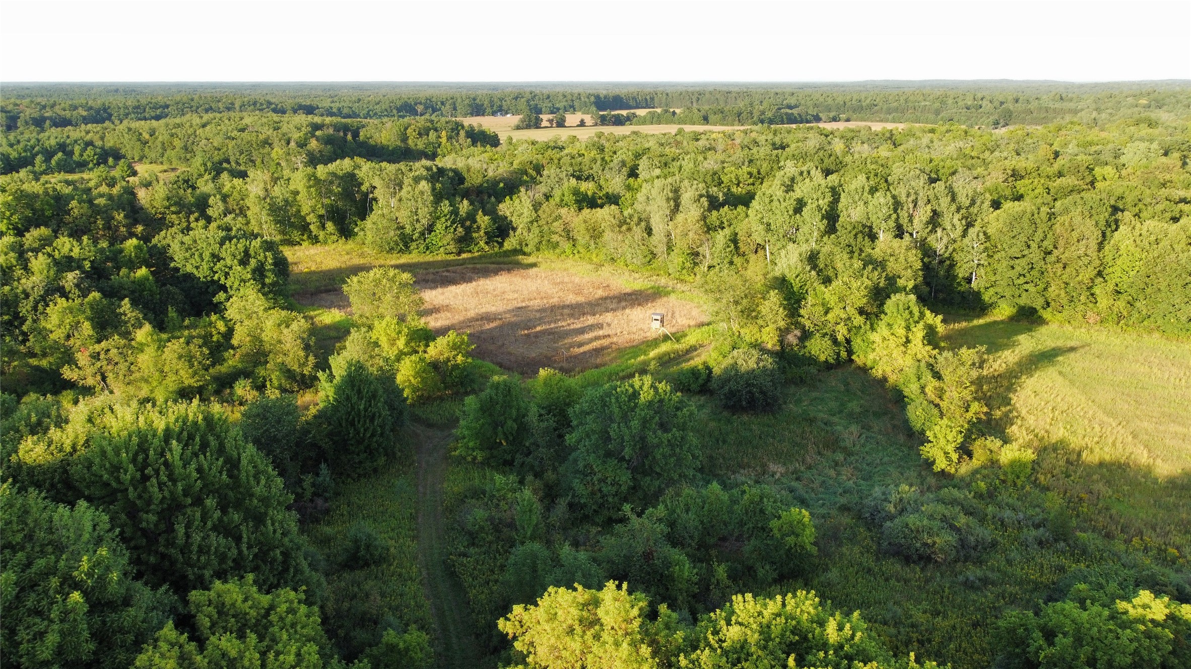 Lot 3 340th Avenue Property Photo 6