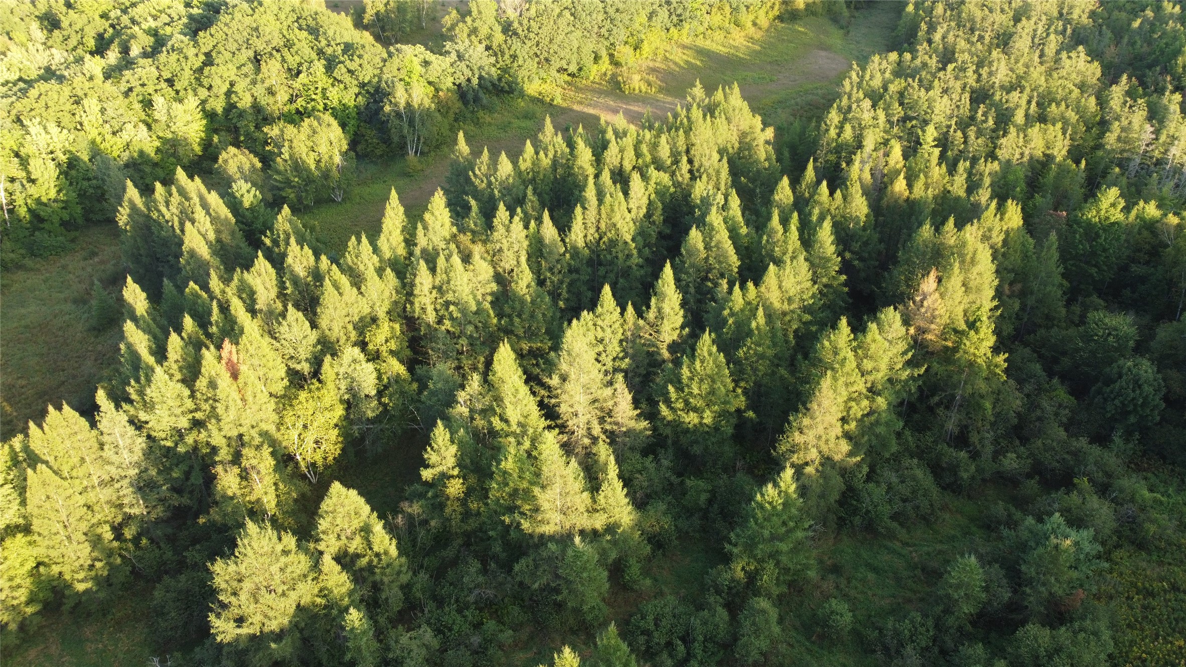 Lot 3 340th Avenue Property Photo 15