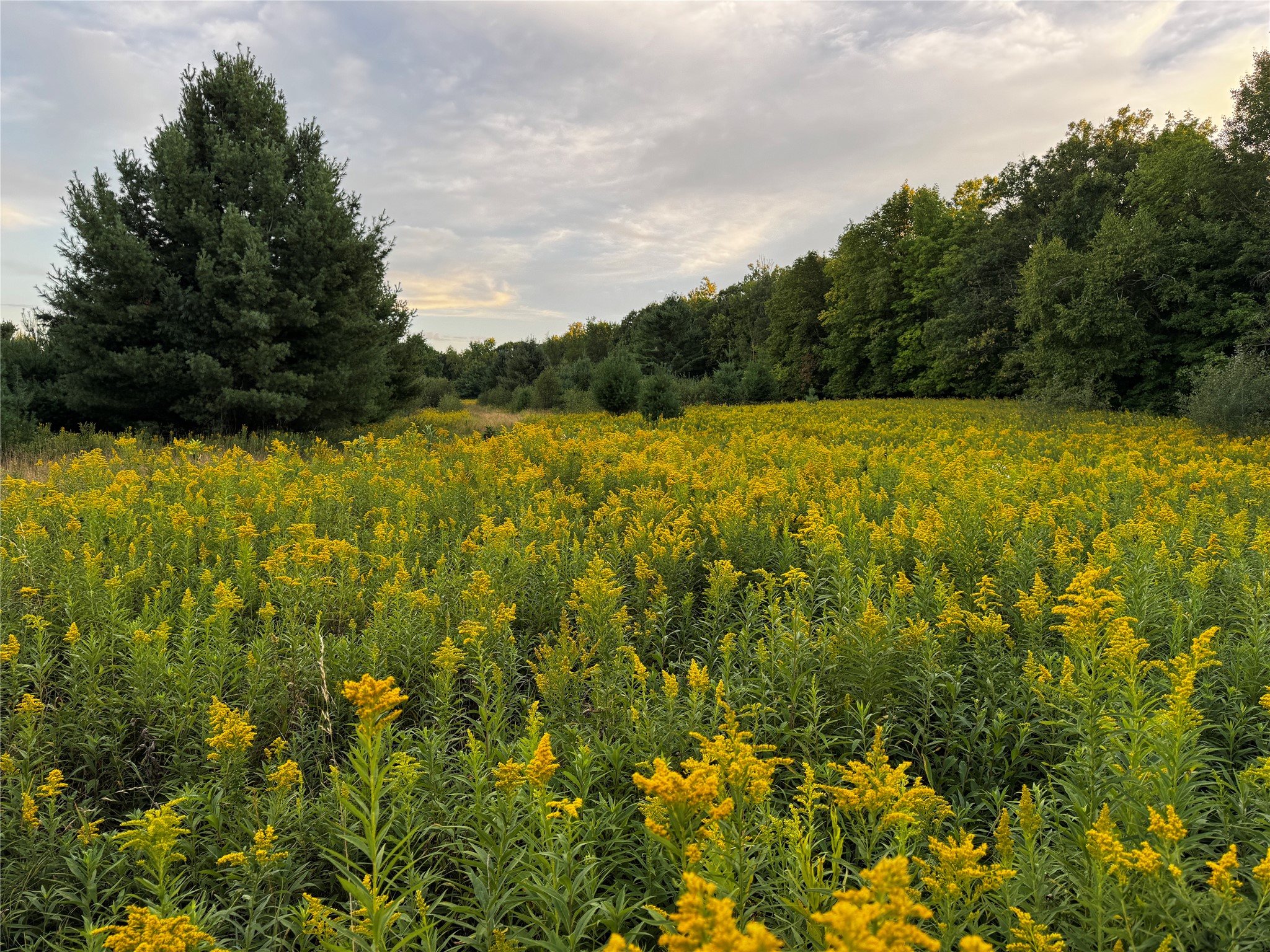 Lot 3 340th Avenue Property Photo 25