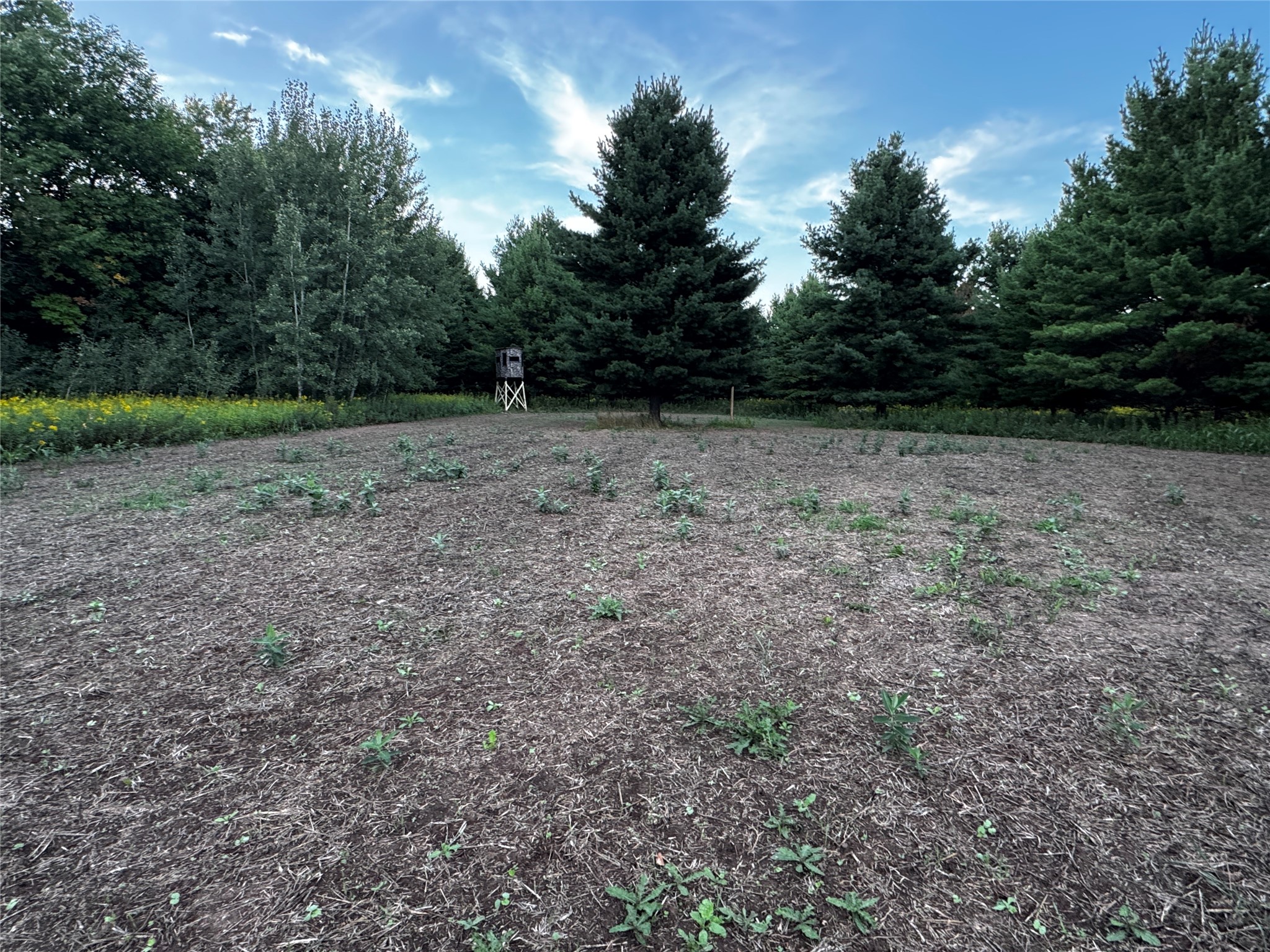 Lot 3 340th Avenue Property Photo 26