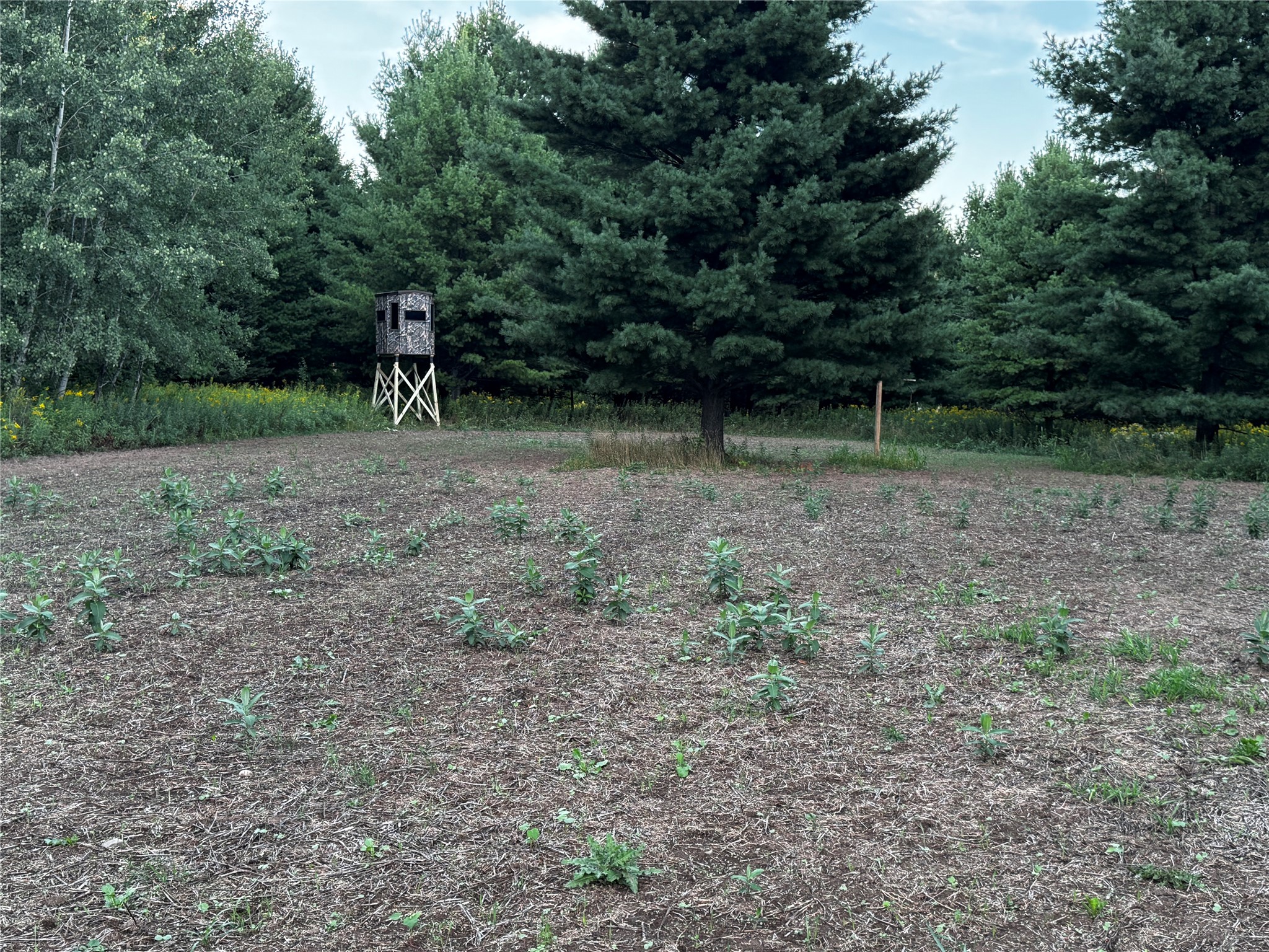 Lot 3 340th Avenue Property Photo 27