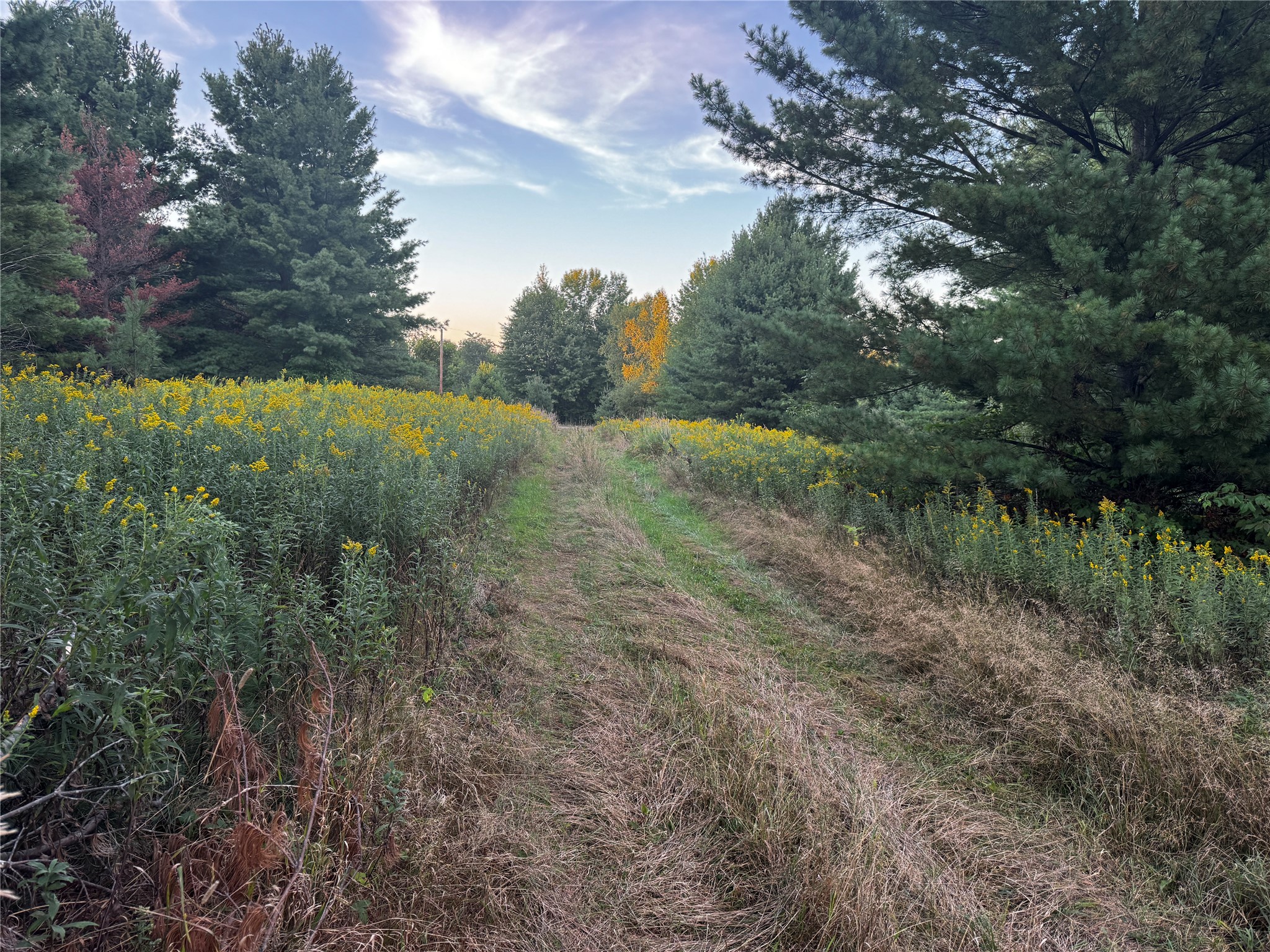 Lot 3 340th Avenue Property Photo 28