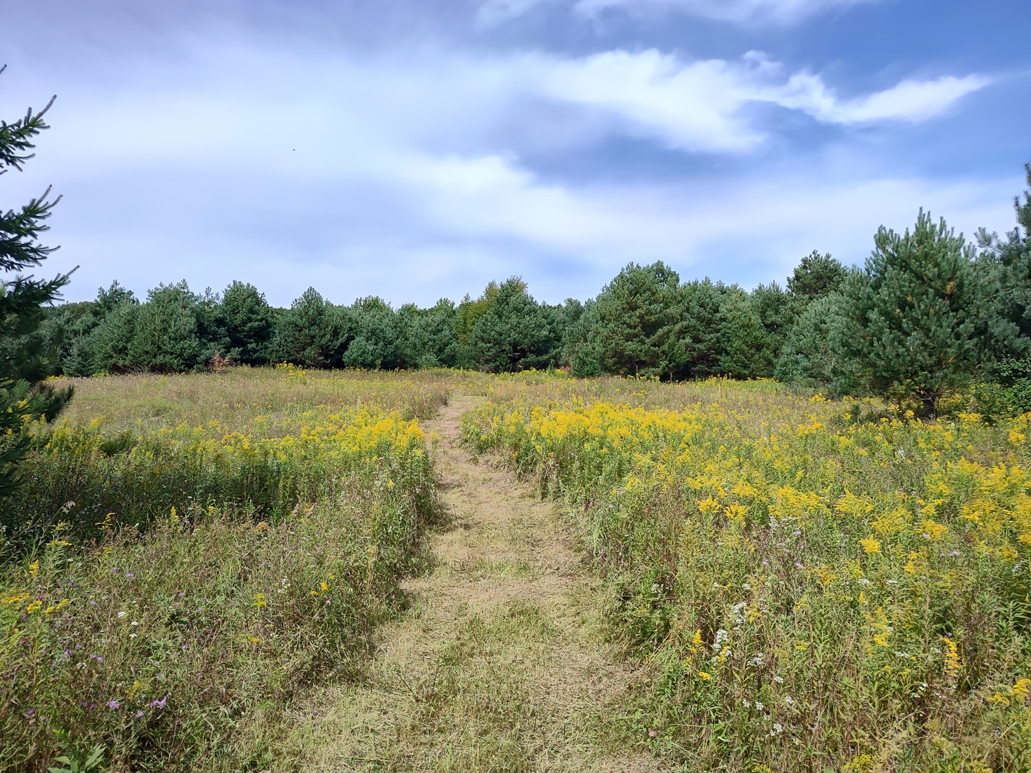 Lot 2 211th Street