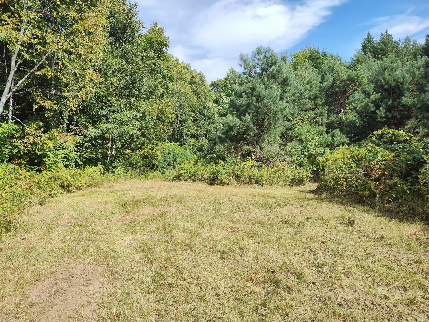 Lot 2 211th Street Property Photo 6