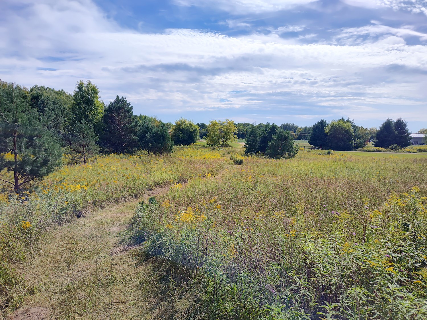 Lot 2 211th Street Property Photo 10